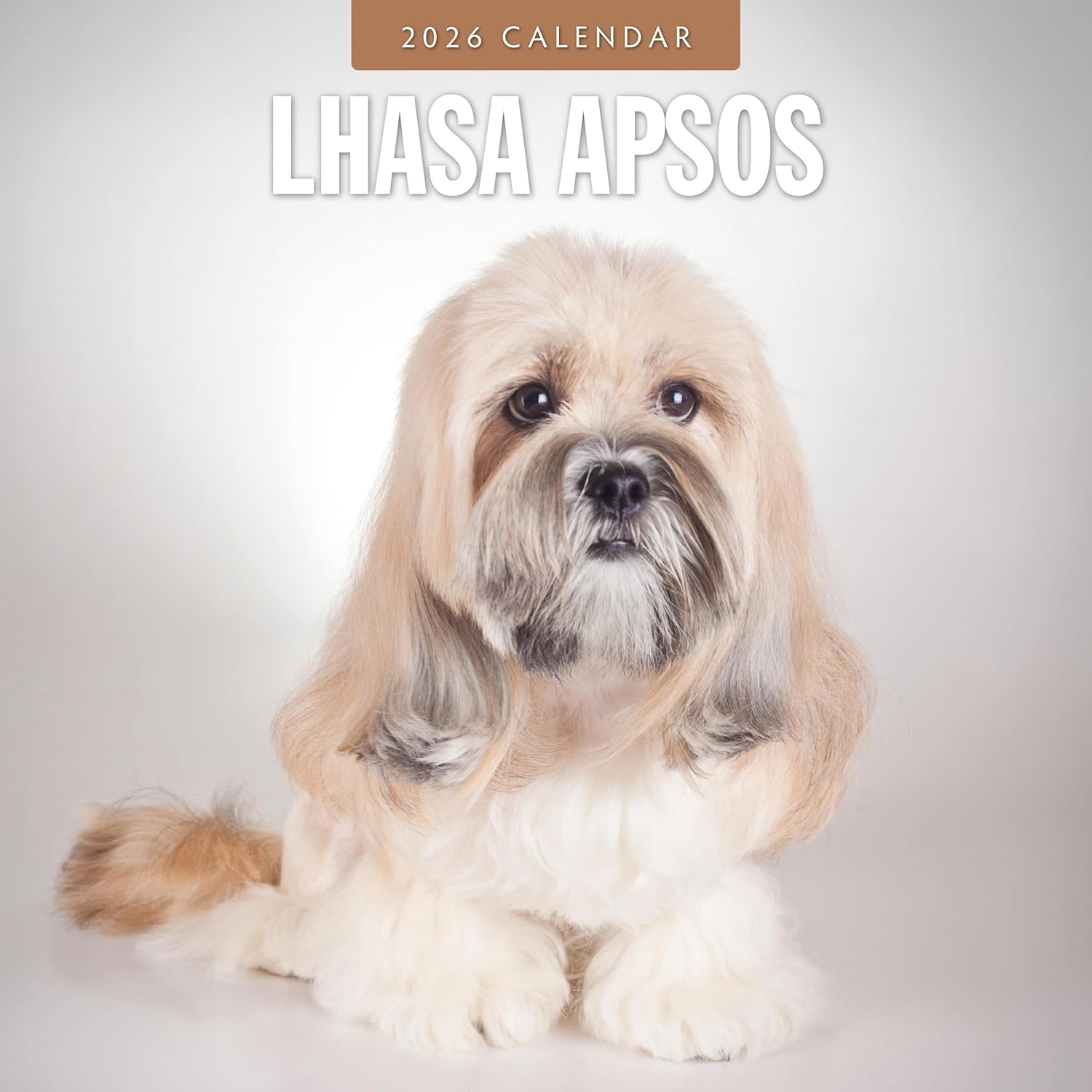Red Robin 2026 Lhasa Apsos Monthly Wall Calendar | 12" x 24" Open | Premium Thick & Sturdy Paper | Hangable 12 Month Calendar | Lined Notes & To Do Area | Vivid Images | Plastic Free