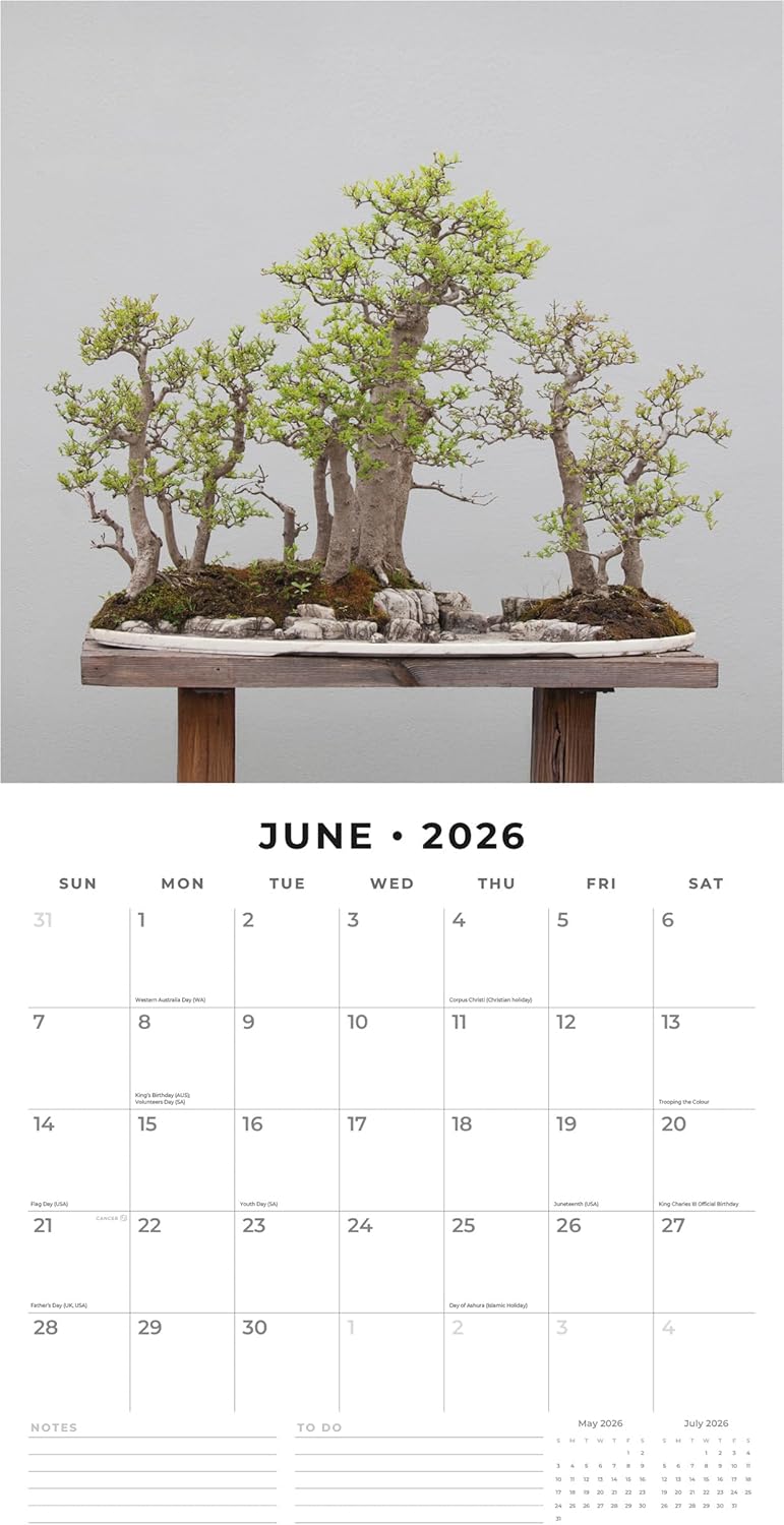 Red Robin 2026 Bonsai Monthly Wall Calendar | 12" x 24" Open | Premium Thick & Sturdy Paper | Hangable 12 Month Calendar | Lined Notes & To Do Area | Vivid Images | Plastic Free