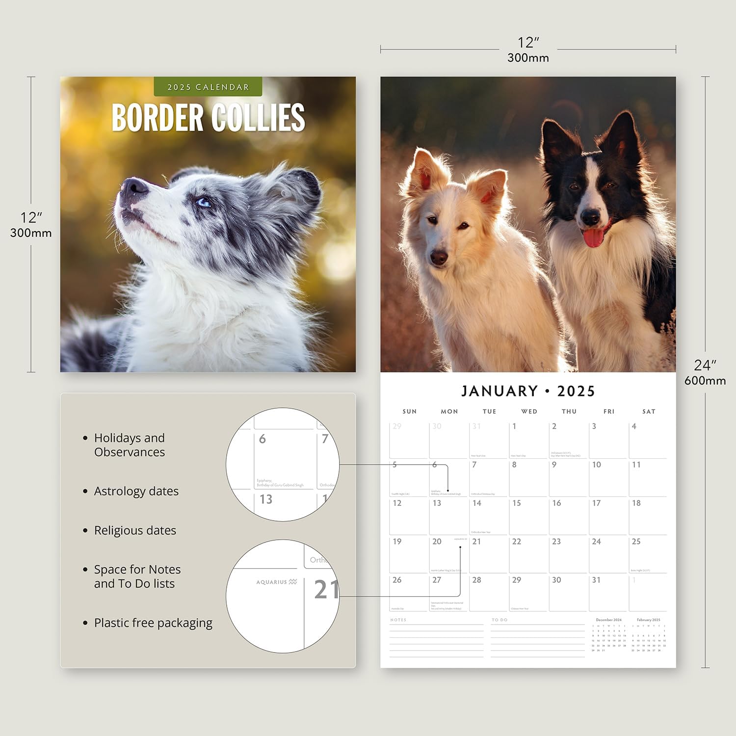 Red Robin 2025 Border Collies Monthly Wall Calendar | 12" x 24" Open | Premium Thick & Sturdy Paper | Hangable 12 Month Calendar | Plastic Free | 4 Month Transition Page for 2024