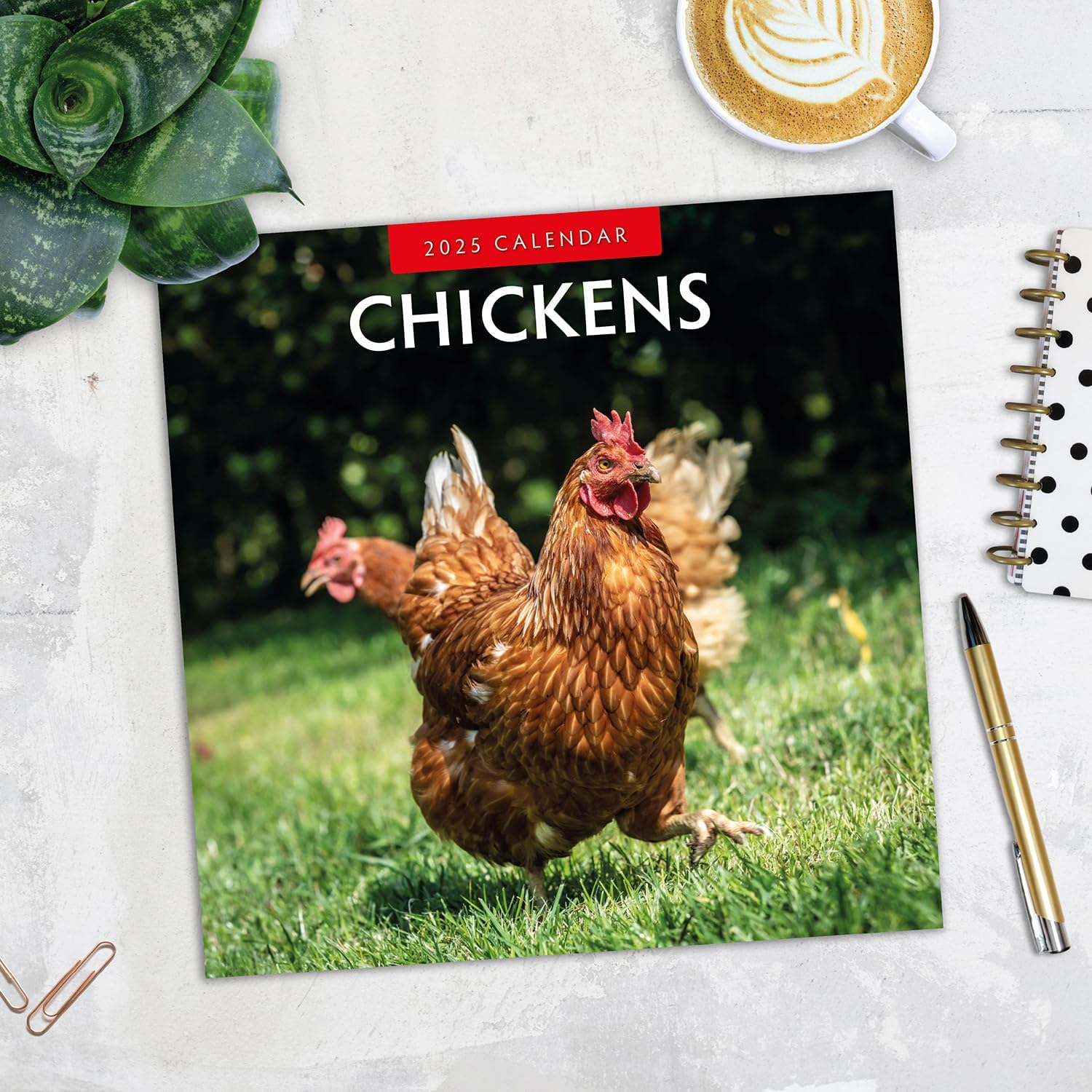 Red Robin 2025 Chickens Monthly Wall Calendar | 12" x 24" Open | Premium Thick & Sturdy Paper | Hangable 12 Month Calendar | Plastic Free | 4 Month Transition Page for 2024