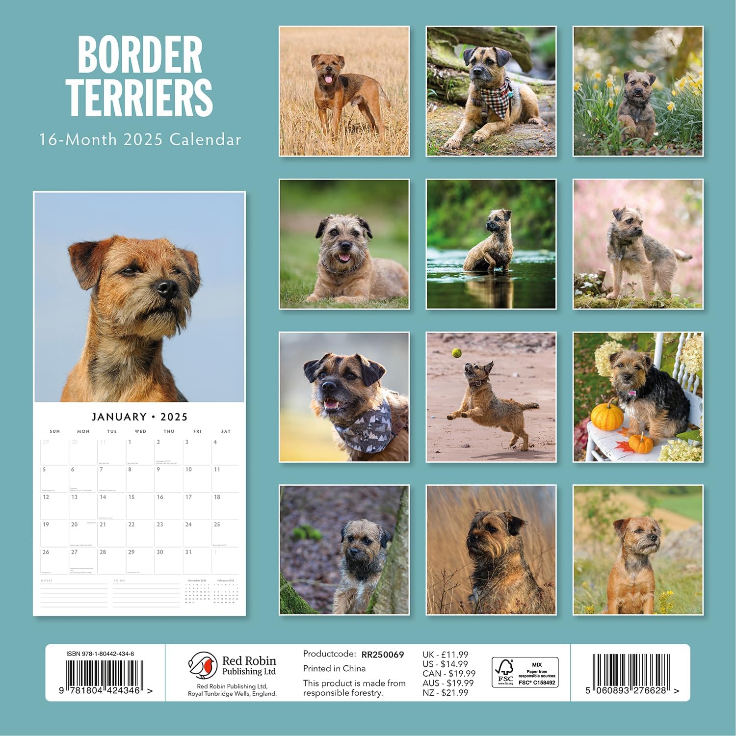 Red Robin 2025 Border Terriers Monthly Wall Calendar | 12" x 24" Open | Premium Thick & Sturdy Paper | Hangable 12 Month Calendar | Plastic Free | 4 Month Transition Page for 2024