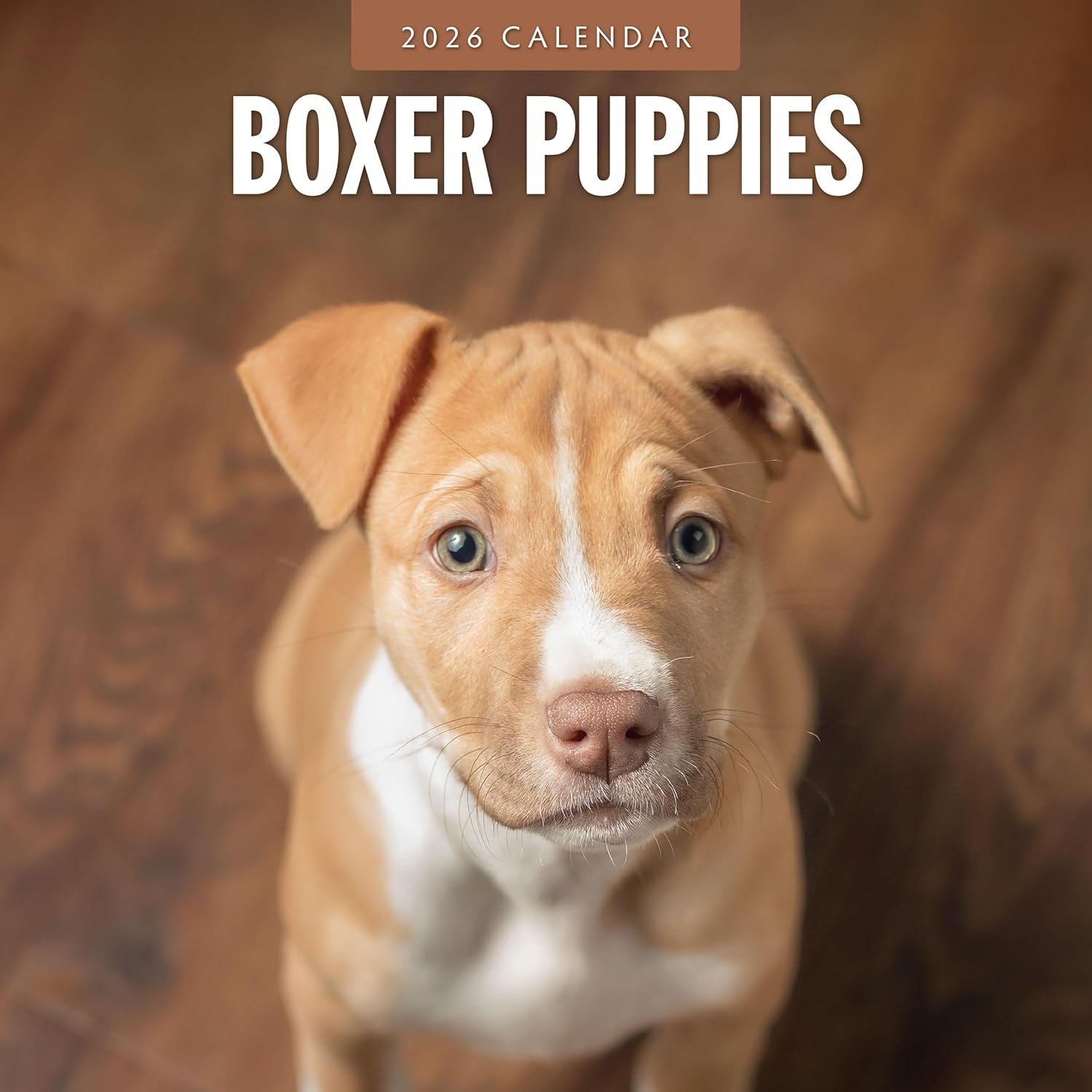 Red Robin 2026 Boxer Puppies Monthly Wall Calendar | 12" x 24" Open | Premium Thick & Sturdy Paper | Hangable 12 Month Calendar | Lined Notes & To Do Area | Vivid Images | Plastic Free