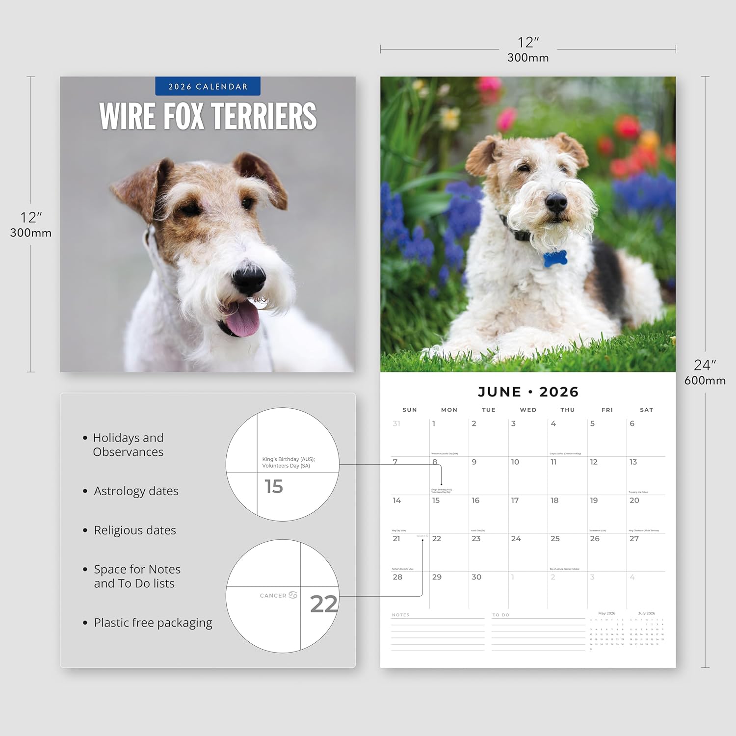 Red Robin 2026 Wire Fox Terriers Monthly Wall Calendar | 12" x 24" Open | Premium Thick & Sturdy Paper | Hangable 12 Month Calendar | Lined Notes & To Do Area | Vivid Images | Plastic Free