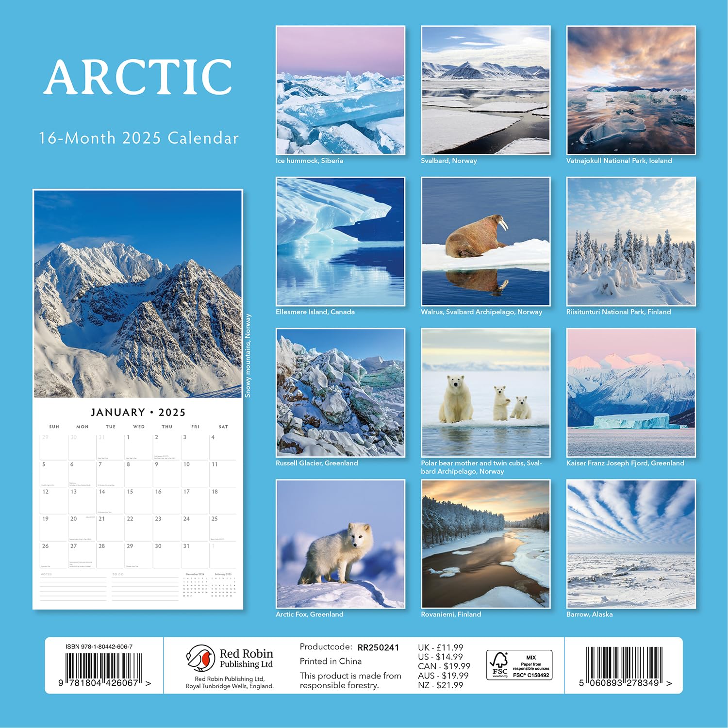 Red Robin 2025 Arctic Monthly Wall Calendar | 12" x 24" Open | Premium Thick & Sturdy Paper | Hangable 12 Month Calendar | Plastic Free | 4 Month Transition Page for 2024