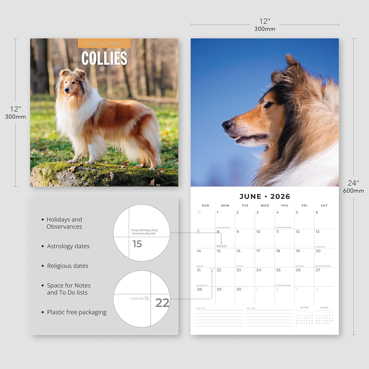 Red Robin 2026 Collies Monthly Wall Calendar | 12" x 24" Open | Premium Thick & Sturdy Paper | Hangable 12 Month Calendar | Lined Notes & To Do Area | Vivid Images | Plastic Free