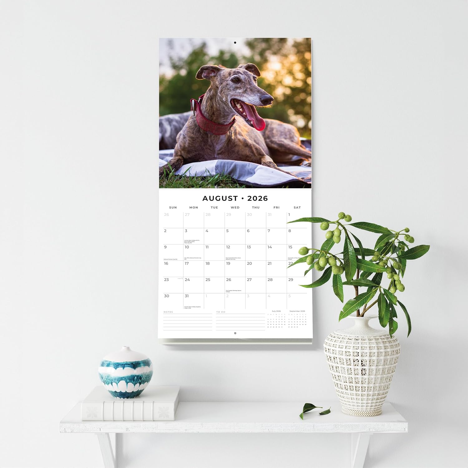 Red Robin 2026 Greyhounds Monthly Wall Calendar | 12" x 24" Open | Premium Thick & Sturdy Paper | Hangable 12 Month Calendar | Lined Notes & To Do Area | Vivid Images | Plastic Free