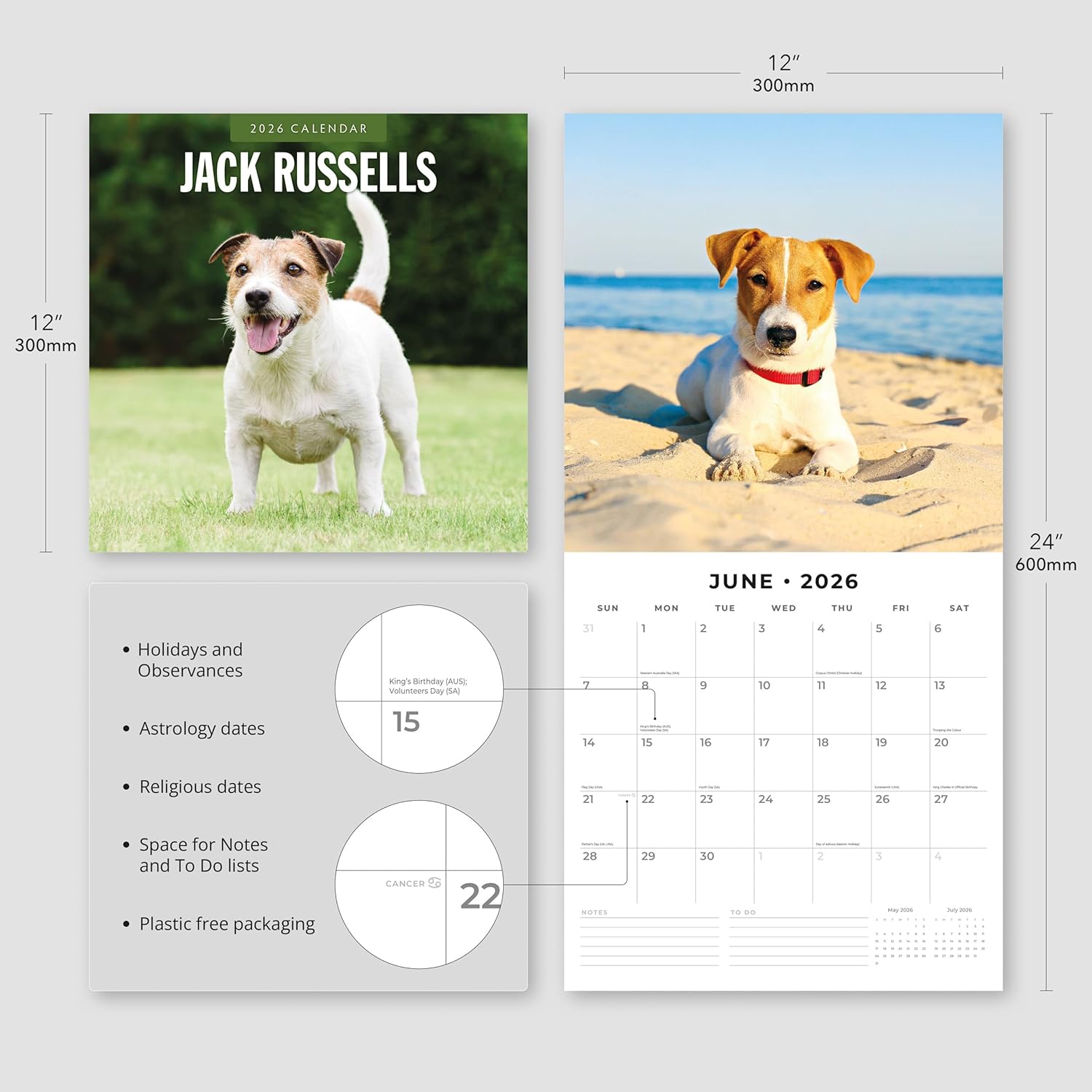 Red Robin 2026 Jack Russells Monthly Wall Calendar | 12" x 24" Open | Premium Thick & Sturdy Paper | Hangable 12 Month Calendar | Lined Notes & To Do Area | Vivid Images | Plastic Free