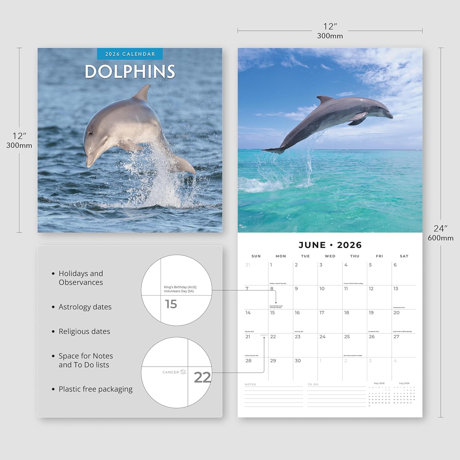 Red Robin 2026 Dolphins Monthly Wall Calendar | 12" x 24" Open | Premium Thick & Sturdy Paper | Hangable 12 Month Calendar | Lined Notes & To Do Area | Vivid Images | Plastic Free