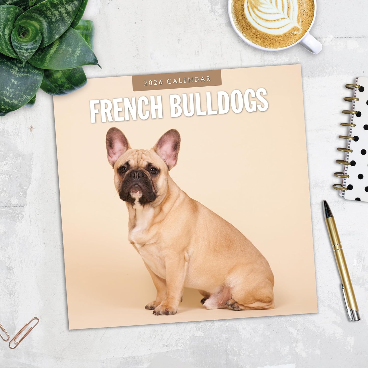 Red Robin 2026 French Bulldogs Monthly Wall Calendar | 12" x 24" Open | Premium Thick & Sturdy Paper | Hangable 12 Month Calendar | Lined Notes & To Do Area | Vivid Images | Plastic Free