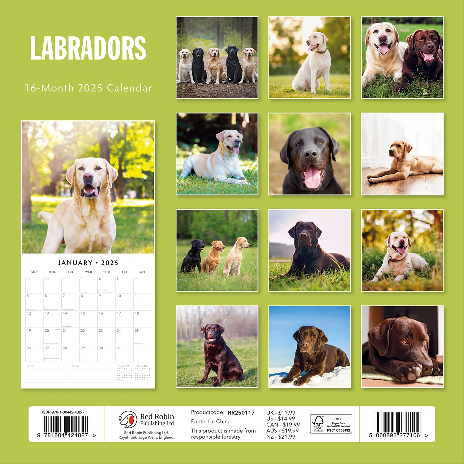 Red Robin 2025 Labradors Monthly Wall Calendar | 12" x 24" Open | Premium Thick & Sturdy Paper | Hangable 12 Month Calendar | Plastic Free | 4 Month Transition Page for 2024