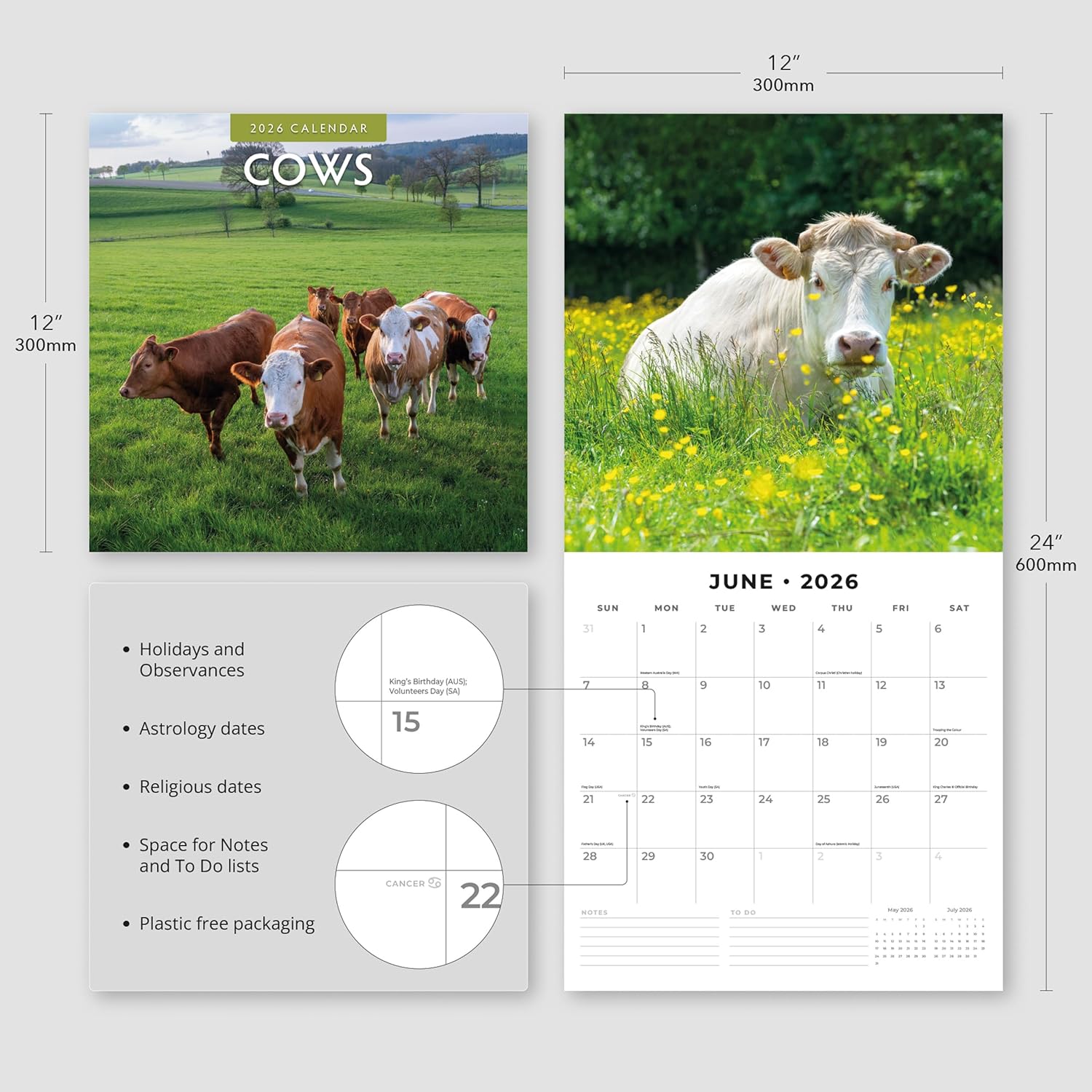 Red Robin 2026 Cows Monthly Wall Calendar | 12" x 24" Open | Premium Thick & Sturdy Paper | Hangable 12 Month Calendar | Lined Notes & To Do Area | Vivid Images | Plastic Free