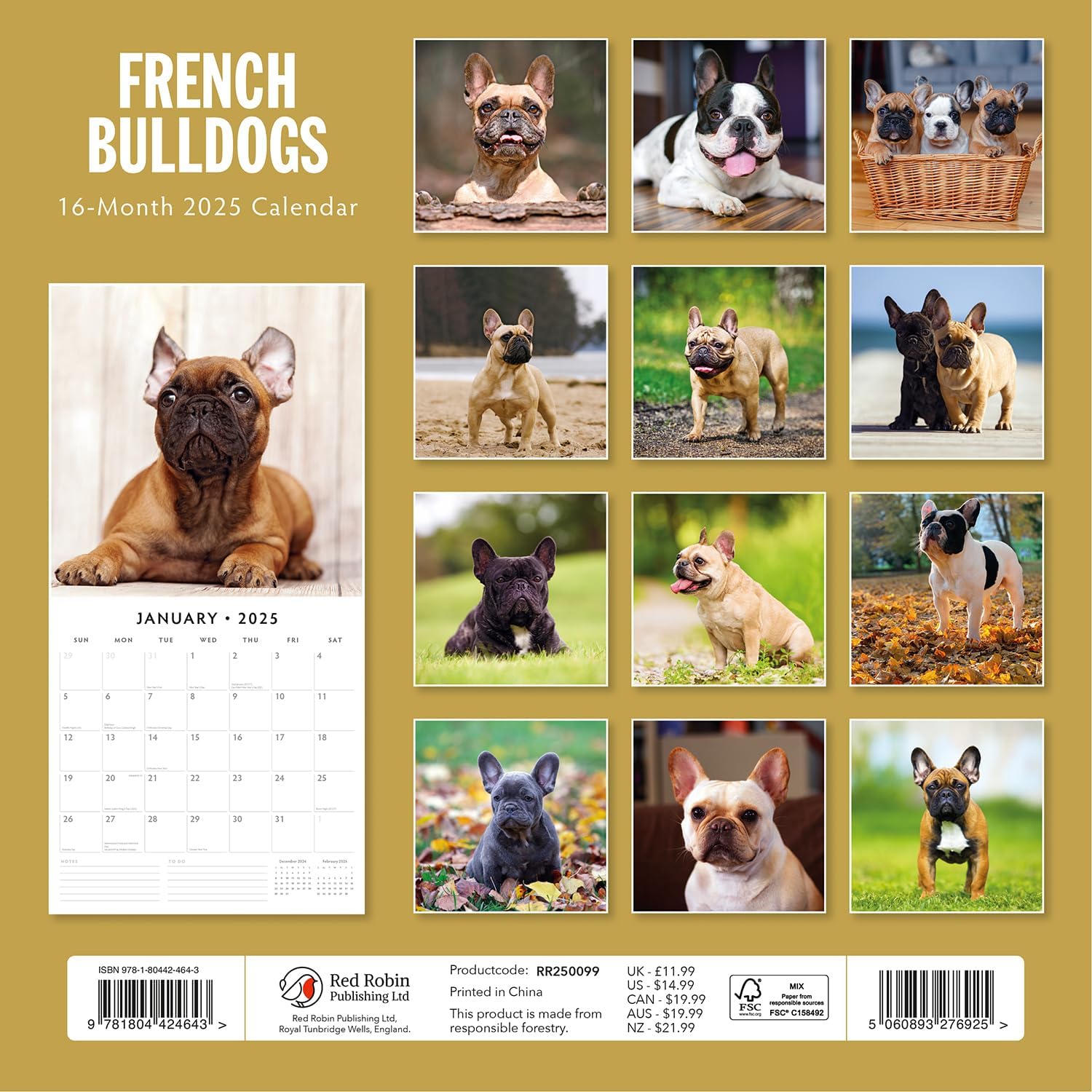 Red Robin 2025 French Bulldogs Monthly Wall Calendar | 12" x 24" Open | Premium Thick & Sturdy Paper | Hangable 12 Month Calendar | Plastic Free | 4 Month Transition Page for 2024