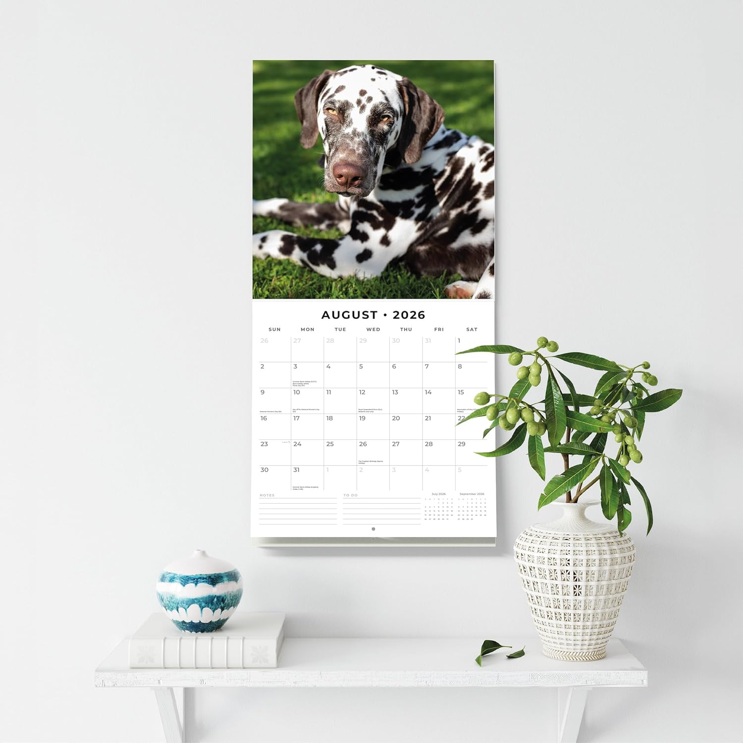 Red Robin 2026 Dalmatians Monthly Wall Calendar | 12" x 24" Open | Premium Thick & Sturdy Paper | Hangable 12 Month Calendar | Lined Notes & To Do Area | Vivid Images | Plastic Free