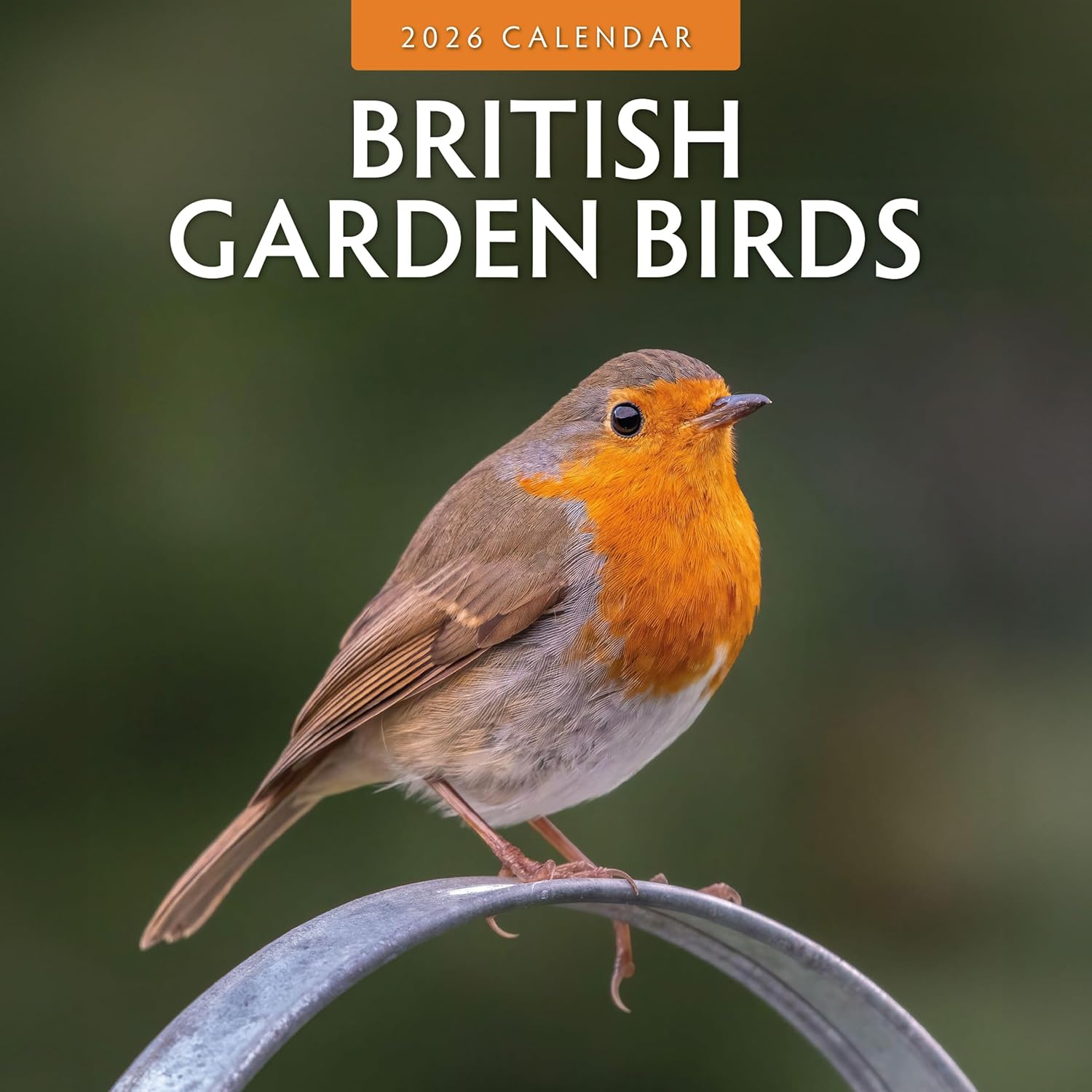 Red Robin 2026 British Garden Birds Monthly Wall Calendar | 12" x 24" Open | Premium Thick & Sturdy Paper | Hangable 12 Month Calendar | Lined Notes & To Do Area | Vivid Images | Plastic Free
