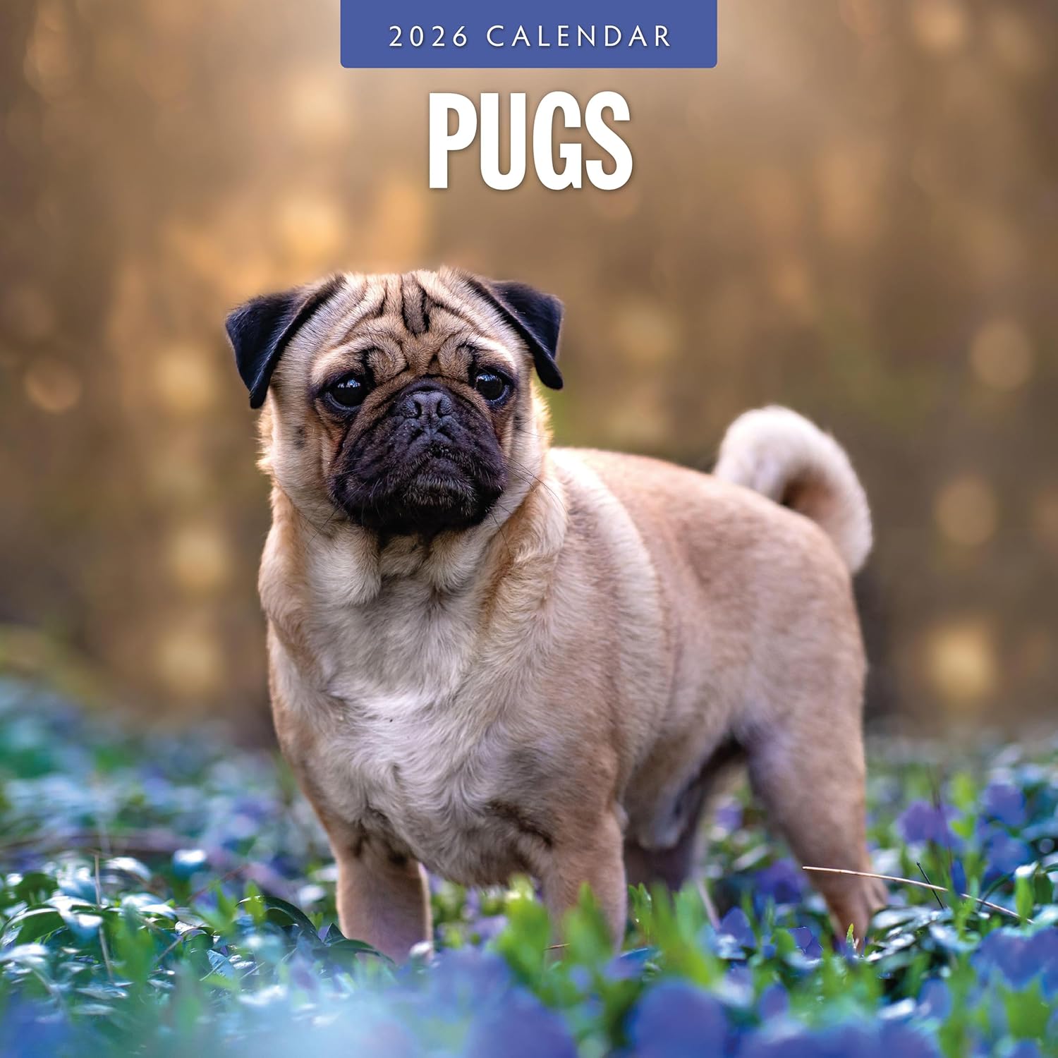 Red Robin 2026 Pugs Monthly Wall Calendar | 12" x 24" Open | Premium Thick & Sturdy Paper | Hangable 12 Month Calendar | Lined Notes & To Do Area | Vivid Images | Plastic Free