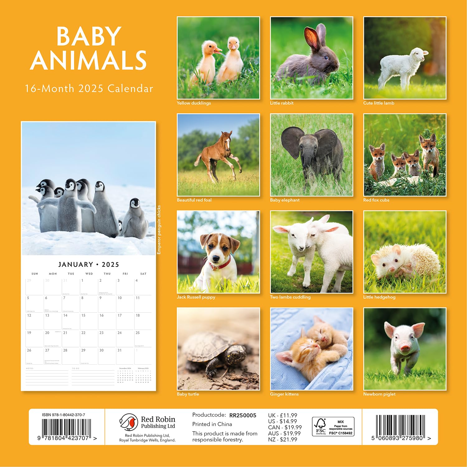 Red Robin 2025 Baby Animals Monthly Wall Calendar | 12" x 24" Open | Premium Thick & Sturdy Paper | Hangable 12 Month Calendar | Plastic Free | 4 Month Transition Page for 2024