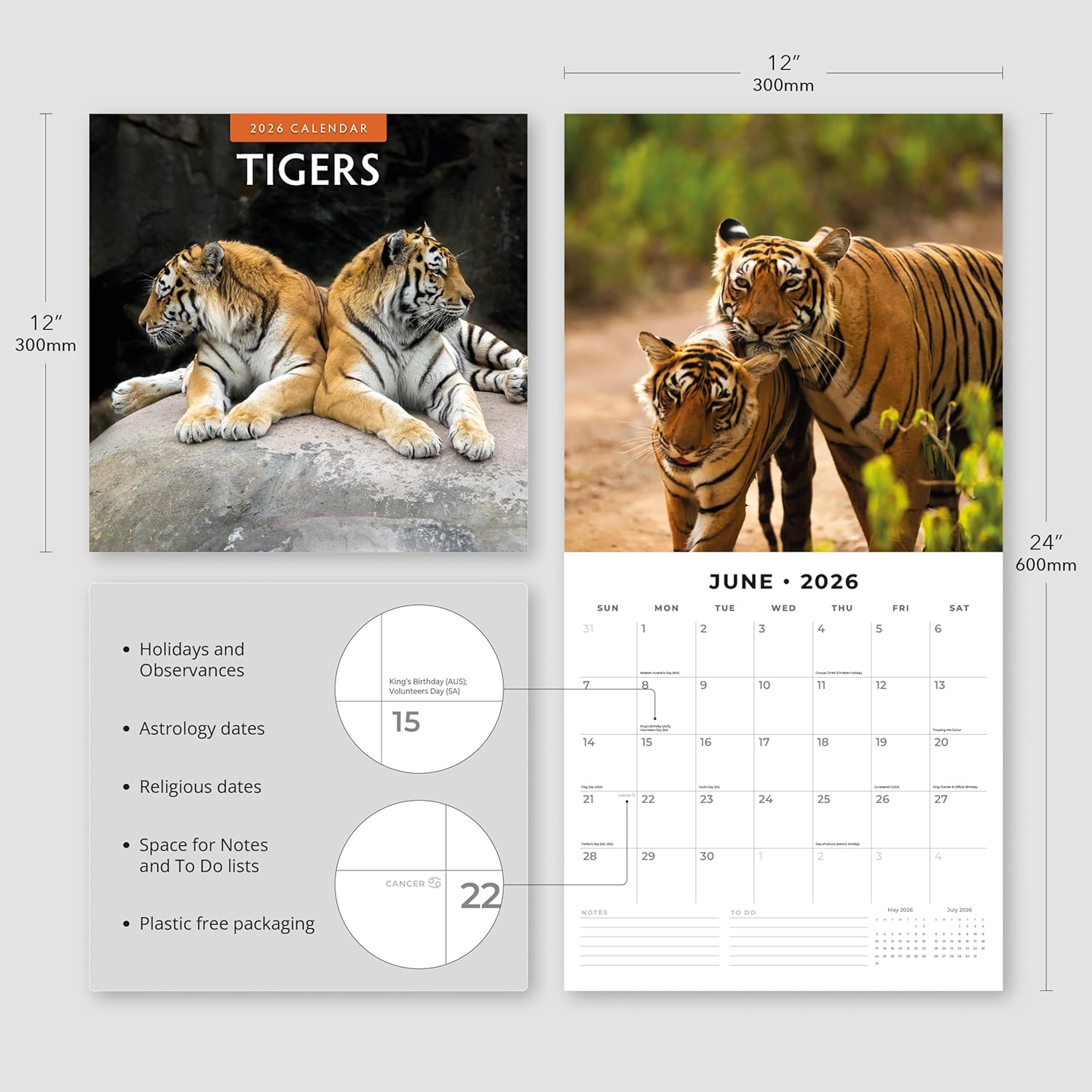 Red Robin 2026 Tigers Monthly Wall Calendar | 12" x 24" Open | Premium Thick & Sturdy Paper | Hangable 12 Month Calendar | Lined Notes & To Do Area | Vivid Images | Plastic Free