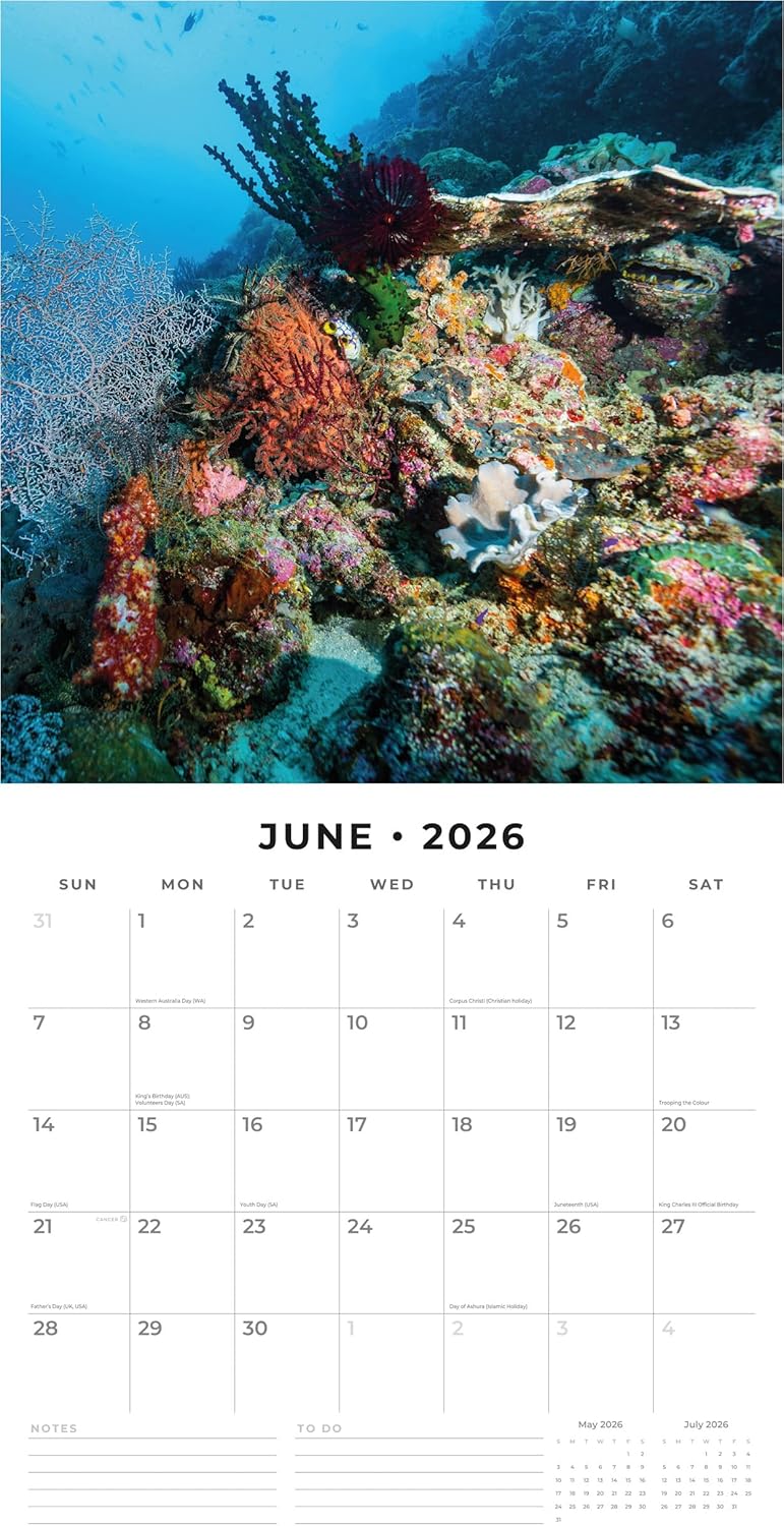 Red Robin 2026 Ocean Life Monthly Wall Calendar | 12" x 24" Open | Premium Thick & Sturdy Paper | Hangable 12 Month Calendar | Lined Notes & To Do Area | Vivid Images | Plastic Free