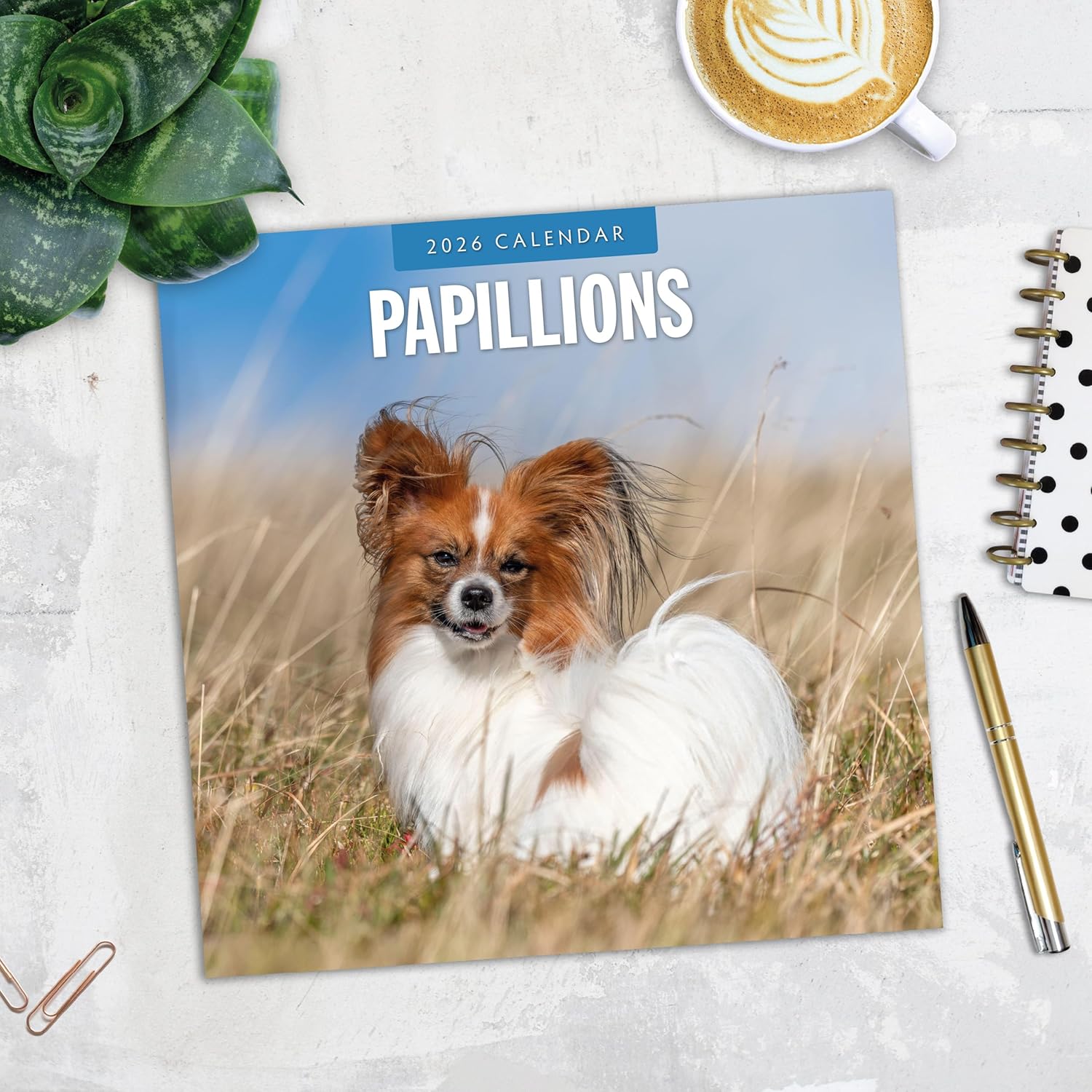 Red Robin 2026 Papillions Monthly Wall Calendar | 12" x 24" Open | Premium Thick & Sturdy Paper | Hangable 12 Month Calendar | Lined Notes & To Do Area | Vivid Images | Plastic Free
