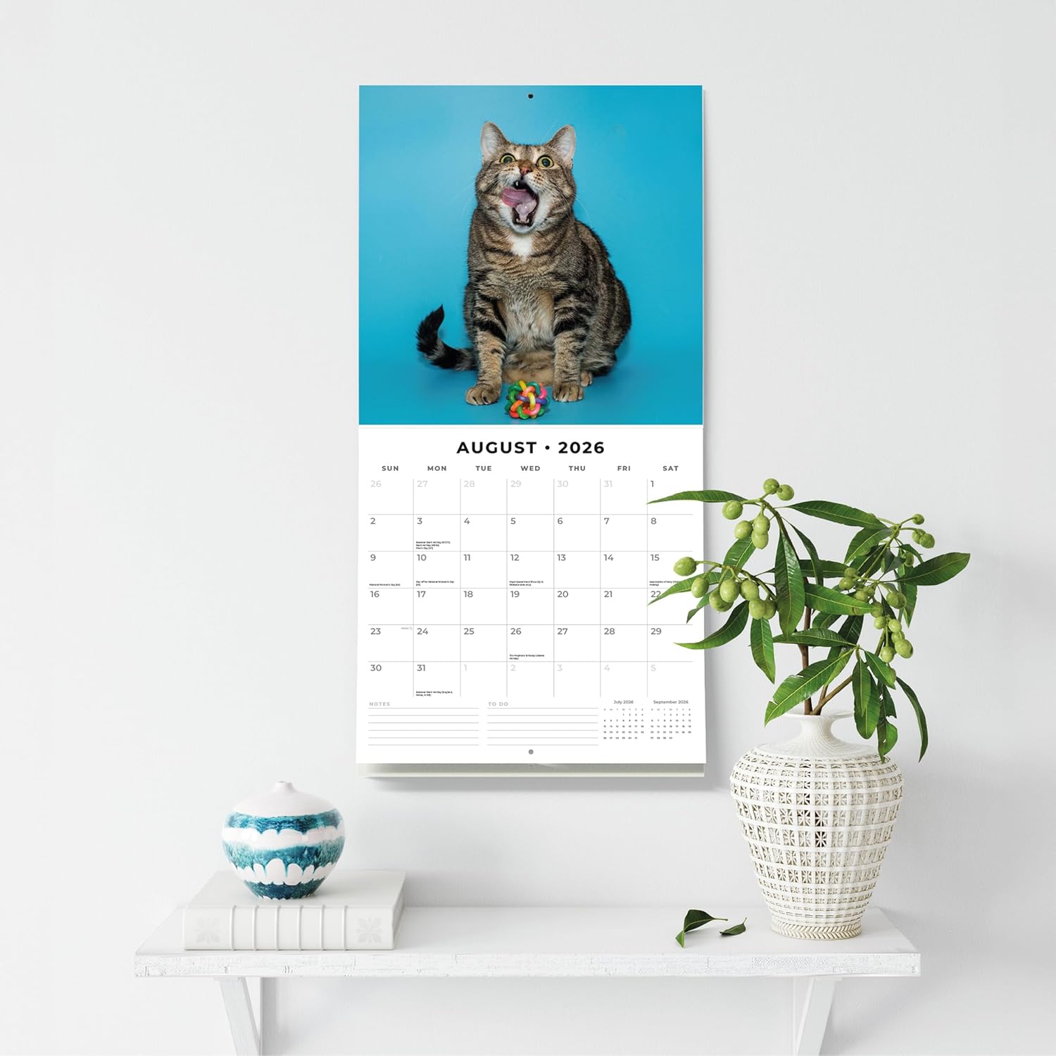 Red Robin 2026 Funny Cats Monthly Wall Calendar | 12" x 24" Open | Premium Thick & Sturdy Paper | Hangable 12 Month Calendar | Lined Notes & To Do Area | Vivid Images | Plastic Free