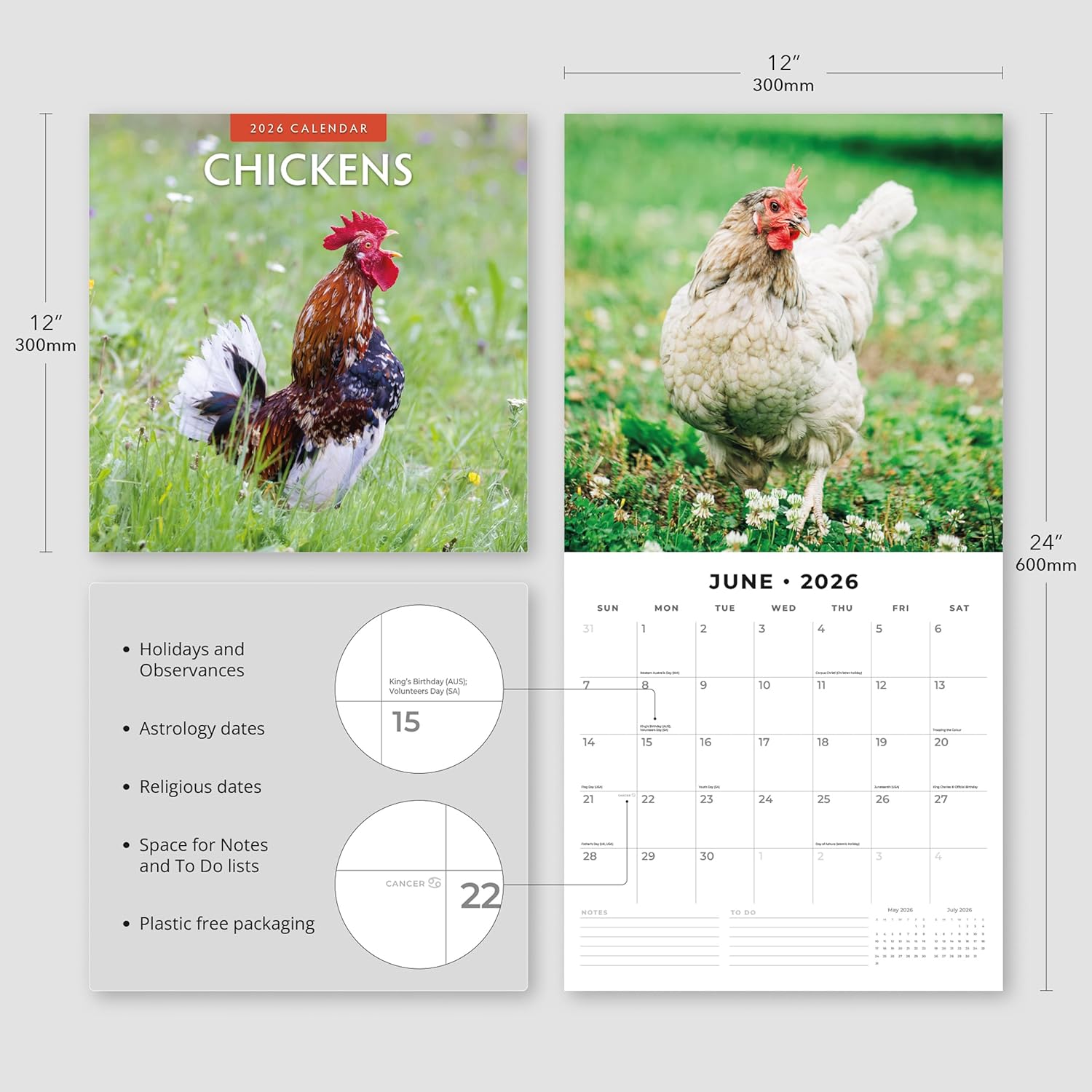 Red Robin 2026 Chickens Monthly Wall Calendar | 12" x 24" Open | Premium Thick & Sturdy Paper | Hangable 12 Month Calendar | Lined Notes & To Do Area | Vivid Images | Plastic Free