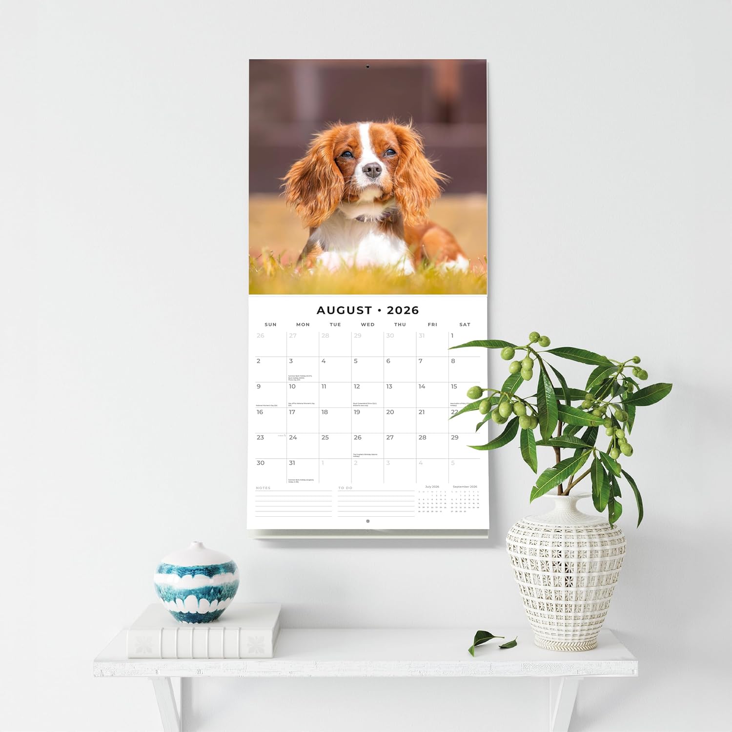Red Robin 2026 Cavalier King Charles Spaniels Monthly Wall Calendar | 12" x 24" Open | Premium Thick & Sturdy Paper | Hangable 12 Month Calendar | Lined Notes & To Do Area | Plastic Free