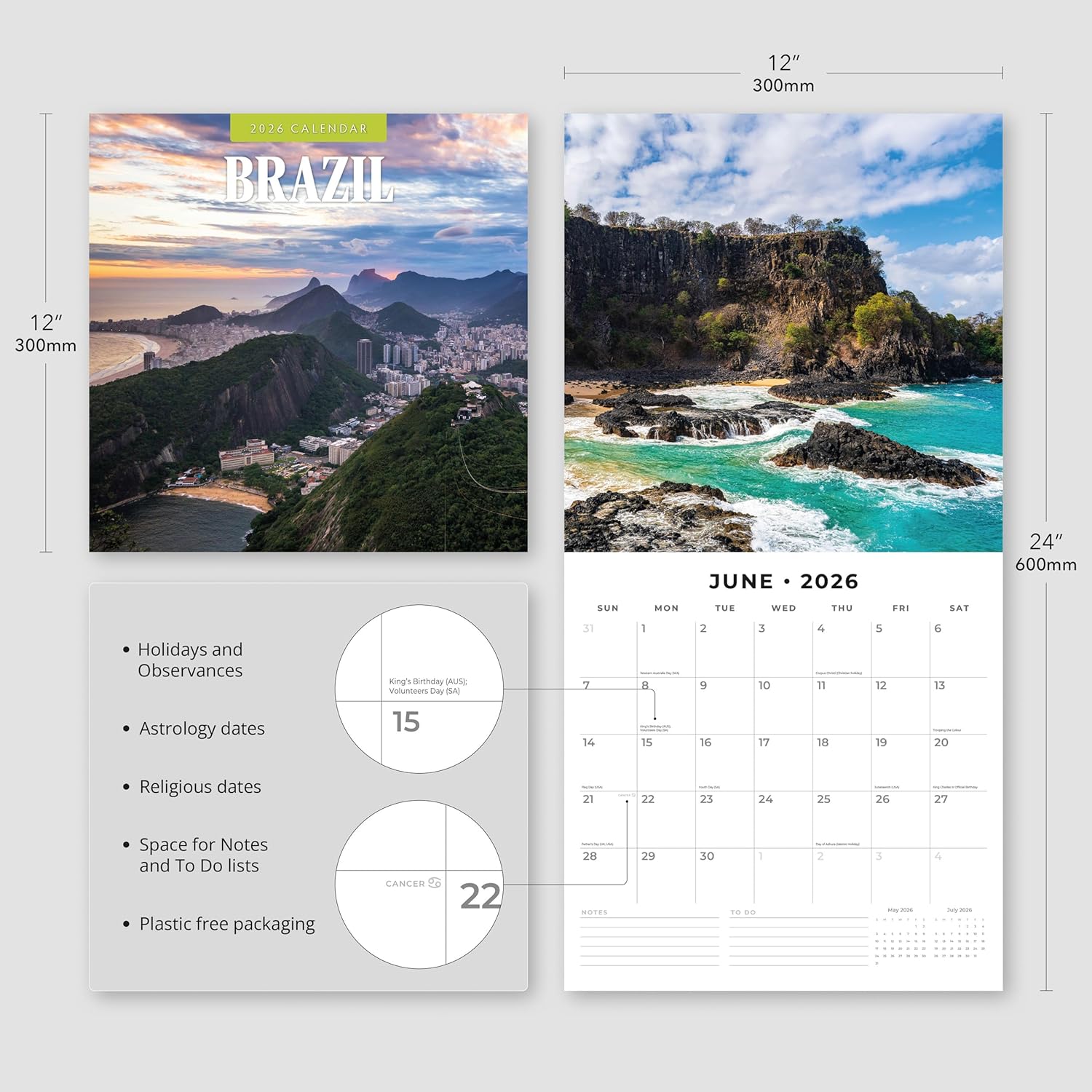 Red Robin 2026 Brazil Monthly Wall Calendar | 12" x 24" Open | Premium Thick & Sturdy Paper | Hangable 12 Month Calendar | Lined Notes & To Do Area | Vivid Images | Plastic Free