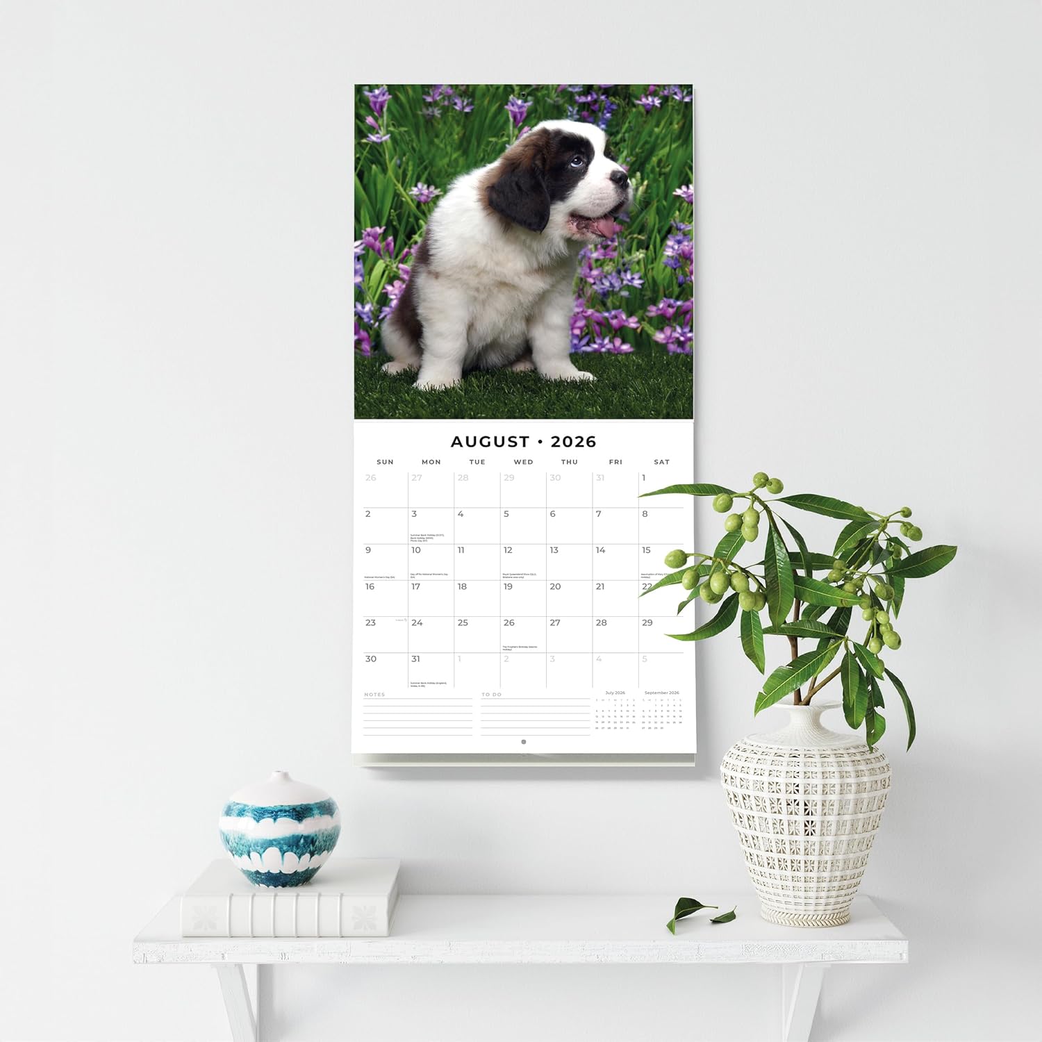 Red Robin 2026 Saint Bernards Monthly Wall Calendar | 12" x 24" Open | Premium Thick & Sturdy Paper | Hangable 12 Month Calendar | Lined Notes & To Do Area | Vivid Images | Plastic Free