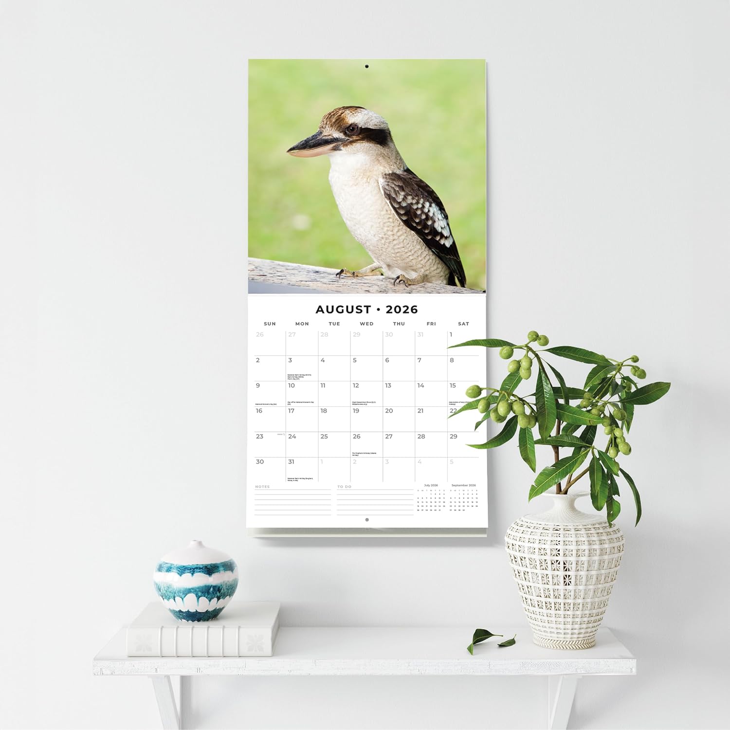 Red Robin 2026 Wildlife of Australia Monthly Wall Calendar | 12" x 24" Open | Premium Thick & Sturdy Paper | Hangable 12 Month Calendar | Lined Notes & To Do Area | Vivid Images | Plastic Free