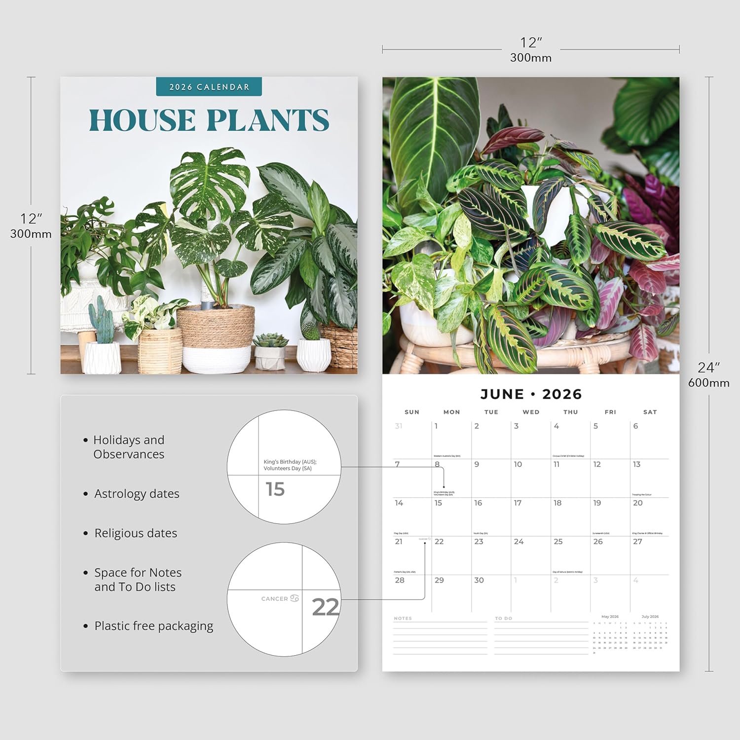 Red Robin 2026 House Plants Monthly Wall Calendar | 12" x 24" Open | Premium Thick & Sturdy Paper | Hangable 12 Month Calendar | Lined Notes & To Do Area | Vivid Images | Plastic Free