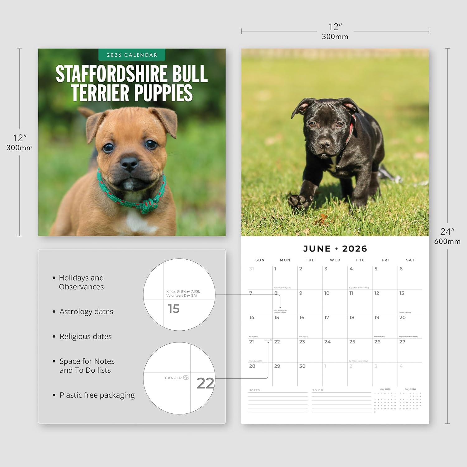 Red Robin 2026 Staffordshire Bull Terrier Puppies Monthly Wall Calendar | 12" x 24" Open | Premium Thick & Sturdy Paper | Hangable 12 Month Calendar | Lined Notes & To Do Area | Plastic Free