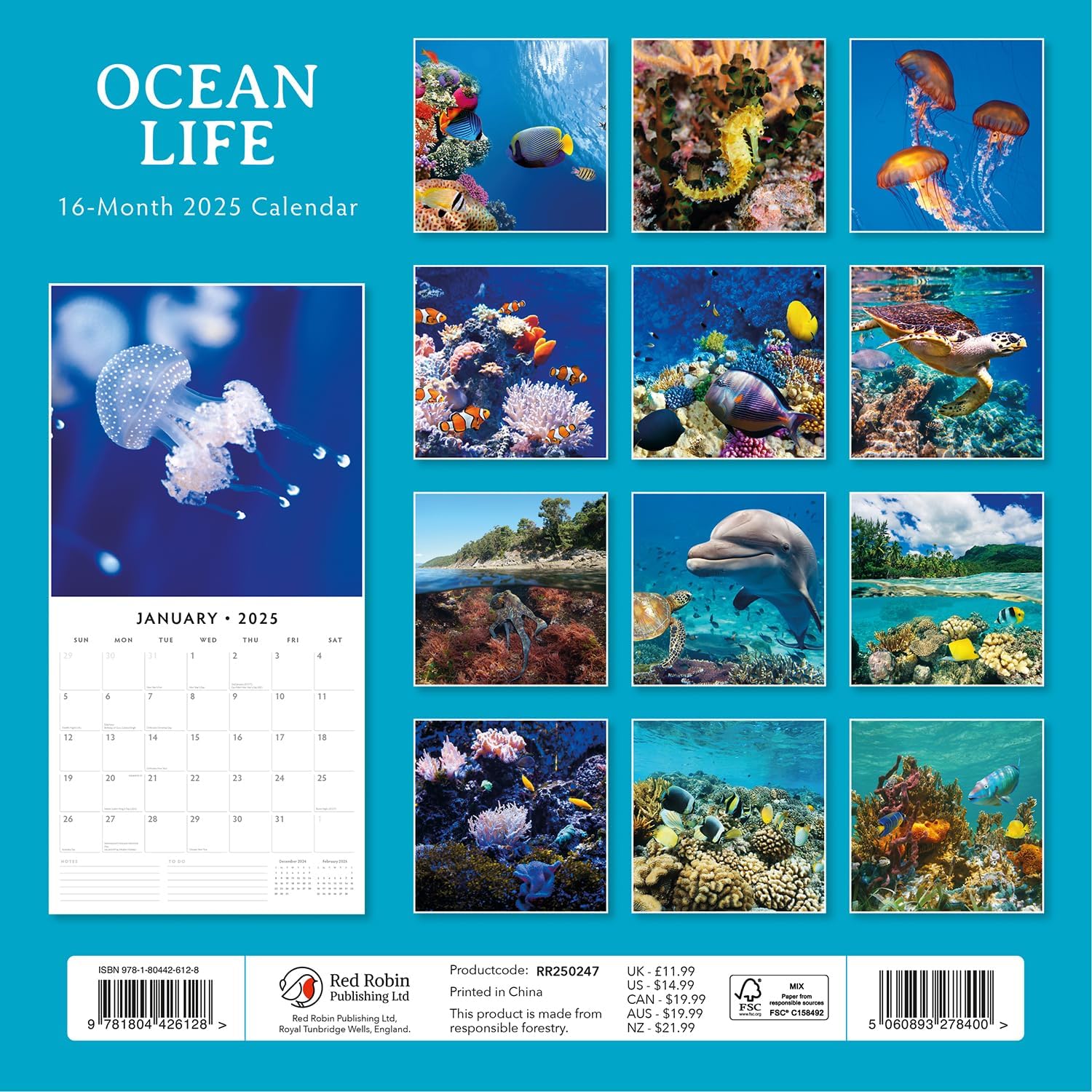 Red Robin 2025 Ocean Life Monthly Wall Calendar | 12" x 24" Open | Premium Thick & Sturdy Paper | Hangable 12 Month Calendar | Plastic Free | 4 Month Transition Page for 2024