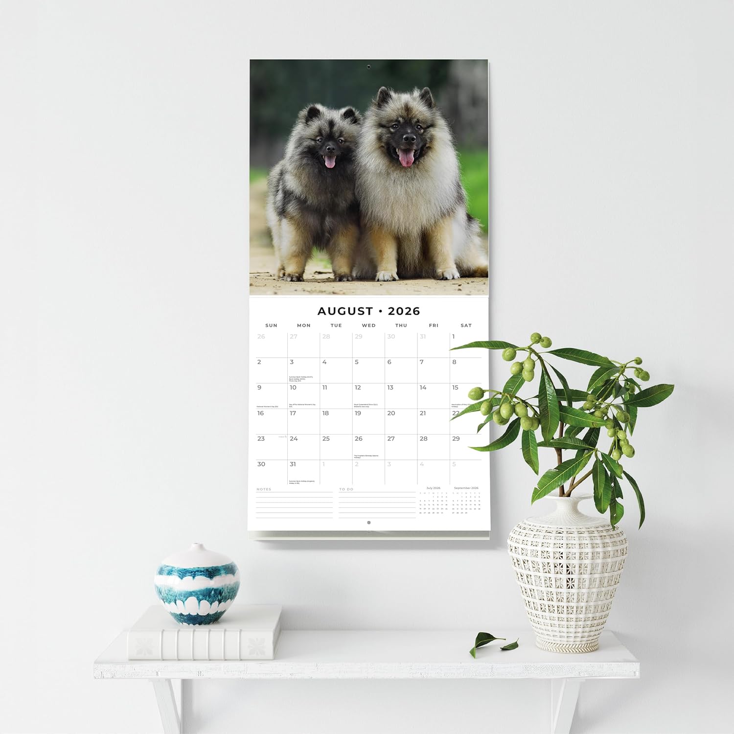 Red Robin 2026 Keeshonds Monthly Wall Calendar | 12" x 24" Open | Premium Thick & Sturdy Paper | Hangable 12 Month Calendar | Lined Notes & To Do Area | Vivid Images | Plastic Free