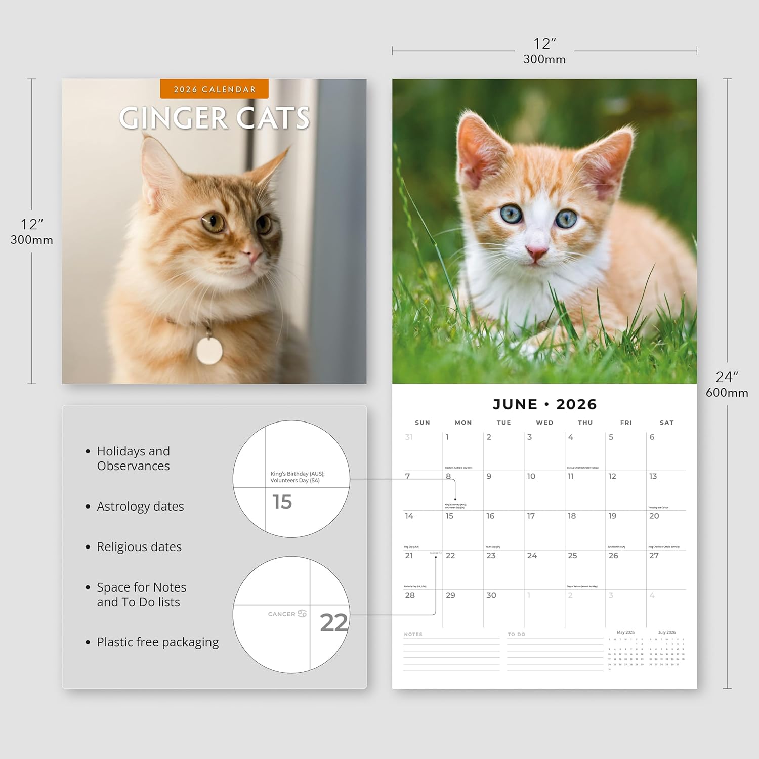 Red Robin 2026 Ginger Cats Monthly Wall Calendar | 12" x 24" Open | Premium Thick & Sturdy Paper | Hangable 12 Month Calendar | Lined Notes & To Do Area | Vivid Images | Plastic Free