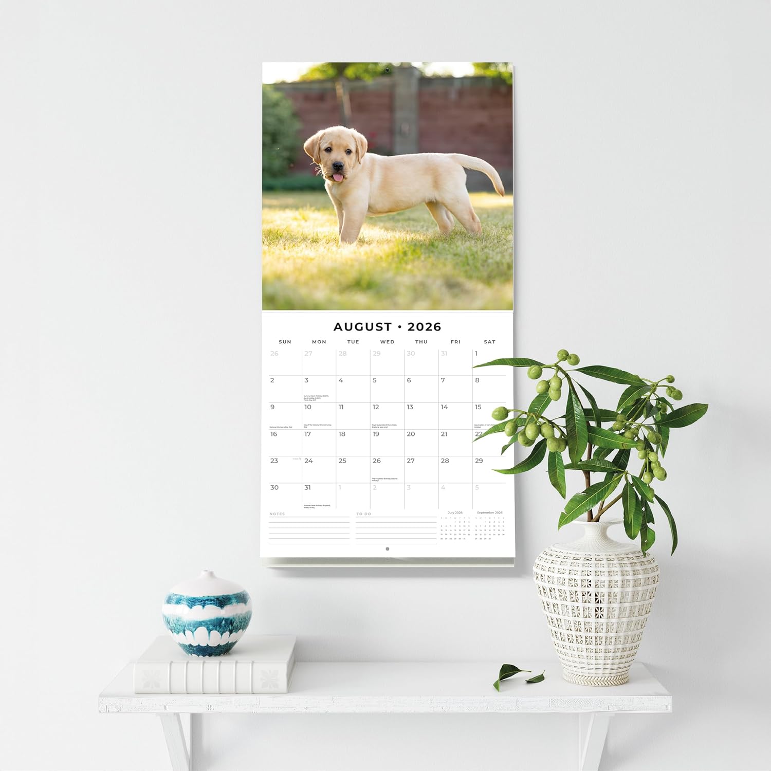Red Robin 2026 Yellow Labradors Monthly Wall Calendar | 12" x 24" Open | Premium Thick & Sturdy Paper | Hangable 12 Month Calendar | Lined Notes & To Do Area | Vivid Images | Plastic Free