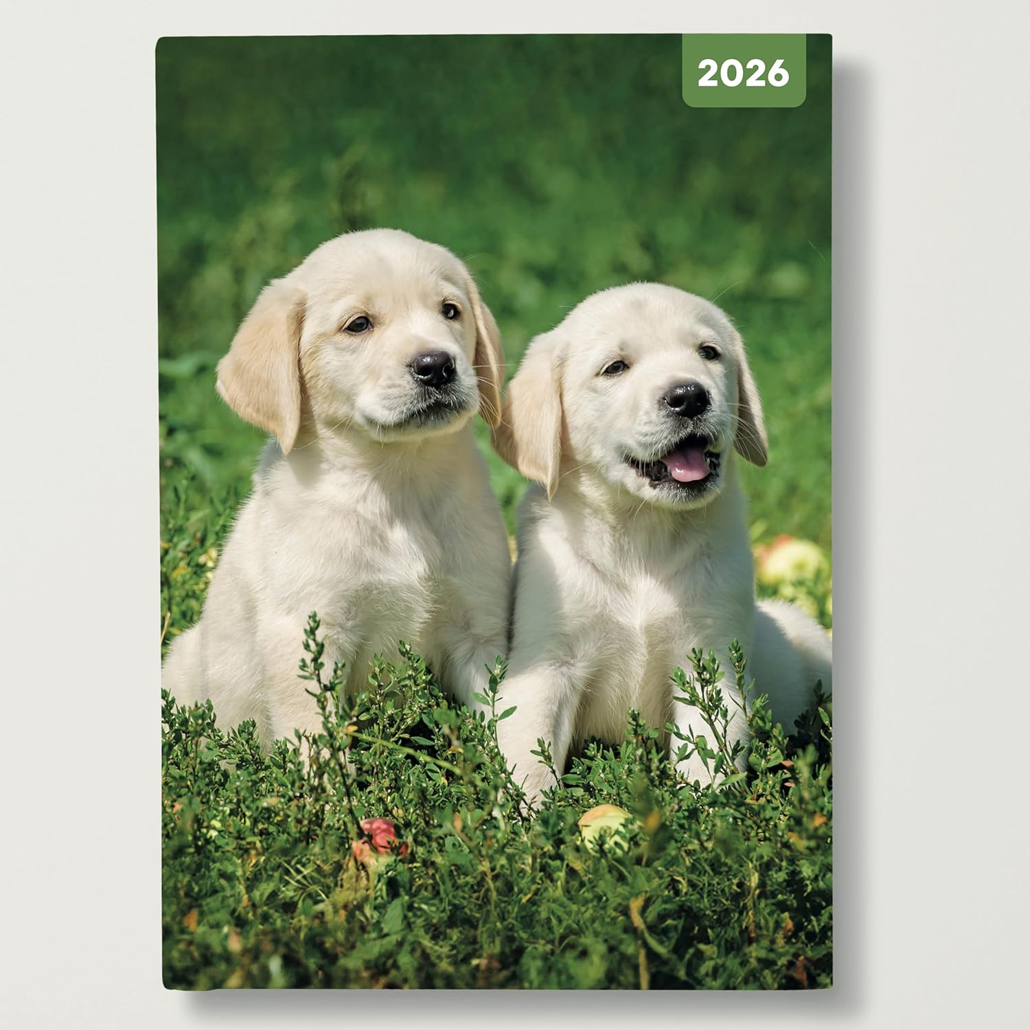 Red Robin 2026 Dogs & Puppies Weekly Planner, A5 Padded 8 1/2" x 6" | Premium Thick & Sturdy Paper | Full Week View | Plastic Free