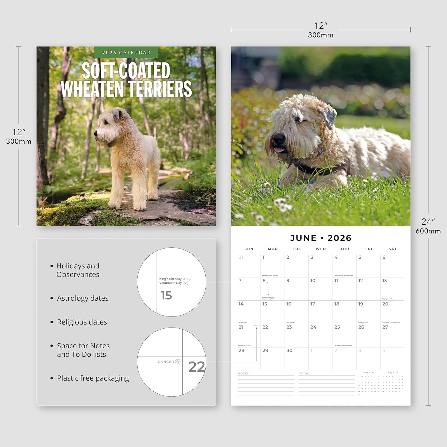 Red Robin 2026 Soft-coated Wheaten Terriers Monthly Wall Calendar | 12" x 24" Open | Premium Thick & Sturdy Paper | Hangable 12 Month Calendar | Lined Notes & To Do Area | Vivid Images | Plastic Free