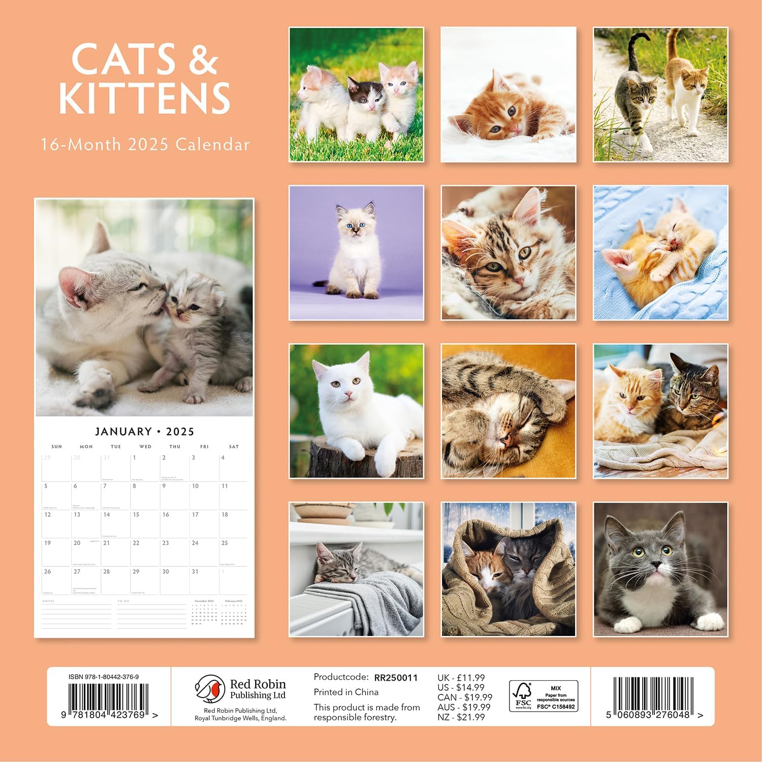 Red Robin 2025 Cats & Kittens Monthly Wall Calendar | 12" x 24" Open | Premium Thick & Sturdy Paper | Hangable 12 Month Calendar | Plastic Free | 4 Month Transition Page for 2024