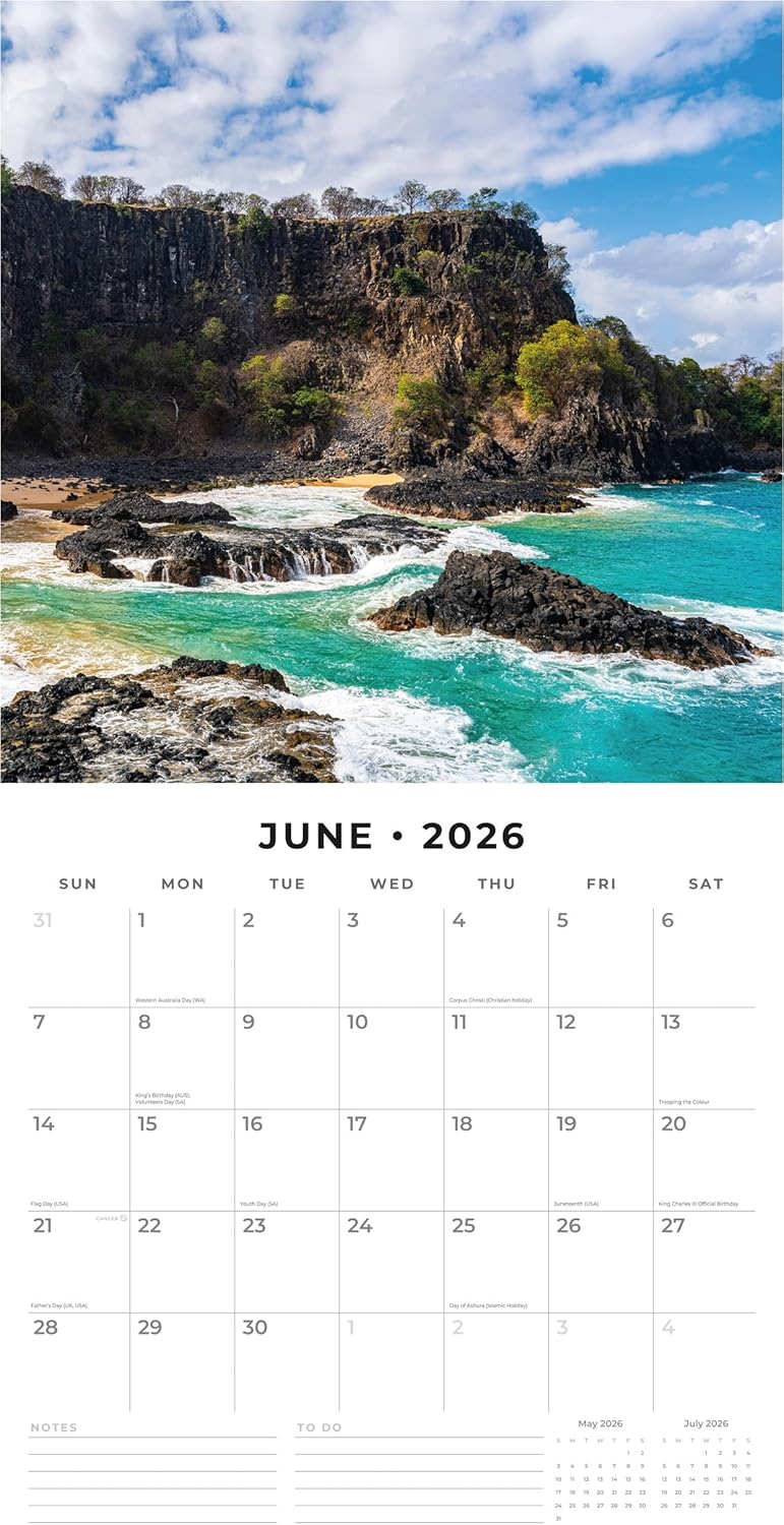 Red Robin 2026 Brazil Monthly Wall Calendar | 12" x 24" Open | Premium Thick & Sturdy Paper | Hangable 12 Month Calendar | Lined Notes & To Do Area | Vivid Images | Plastic Free