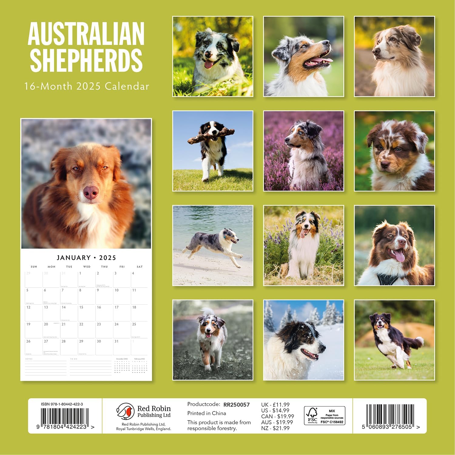 Red Robin 2025 Australian Shepherds Monthly Wall Calendar | 12" x 24" Open | Premium Thick & Sturdy Paper | Hangable 12 Month Calendar | Plastic Free | 4 Month Transition Page for 2024