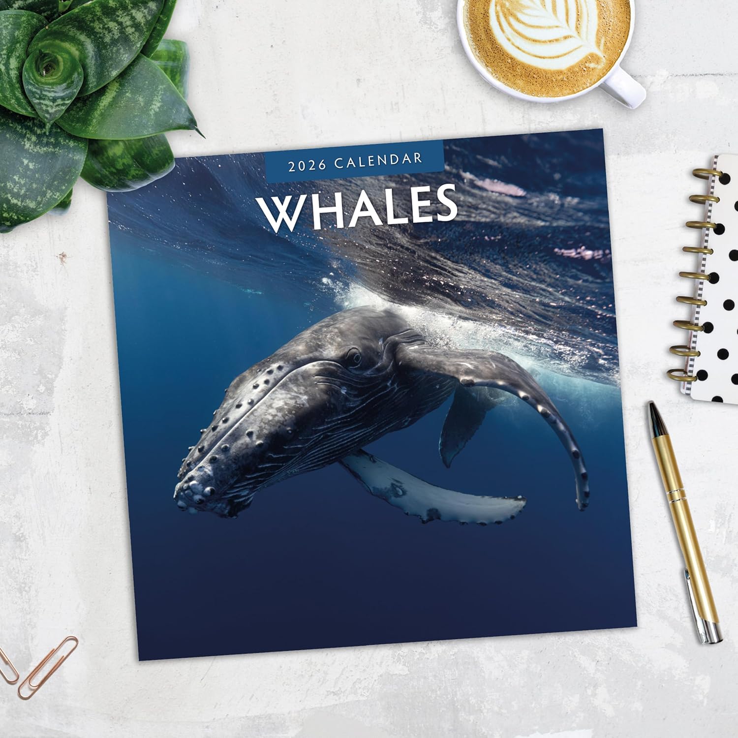 Red Robin 2026 Whales Monthly Wall Calendar | 12" x 24" Open | Premium Thick & Sturdy Paper | Hangable 12 Month Calendar | Lined Notes & To Do Area | Vivid Images | Plastic Free