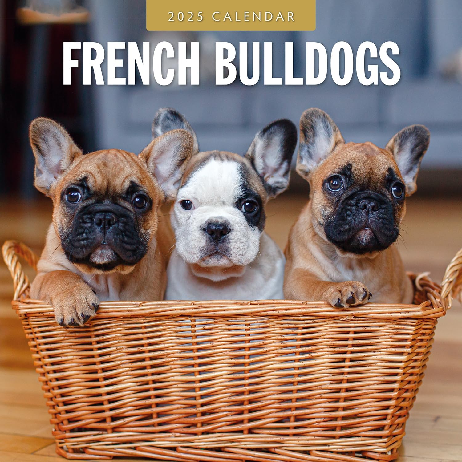 Red Robin 2025 French Bulldogs Monthly Wall Calendar | 12" x 24" Open | Premium Thick & Sturdy Paper | Hangable 12 Month Calendar | Plastic Free | 4 Month Transition Page for 2024