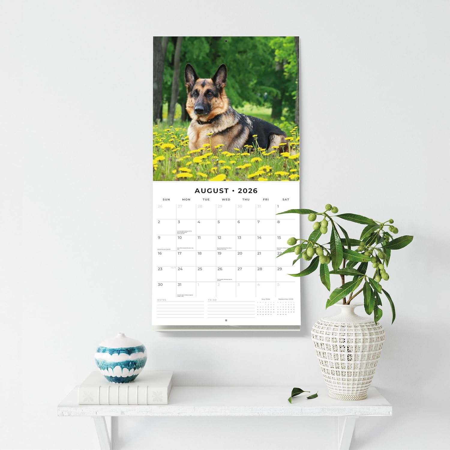 Red Robin 2026 German Shepherds Monthly Wall Calendar | 12" x 24" Open | Premium Thick & Sturdy Paper | Hangable 12 Month Calendar | Lined Notes & To Do Area | Vivid Images | Plastic Free