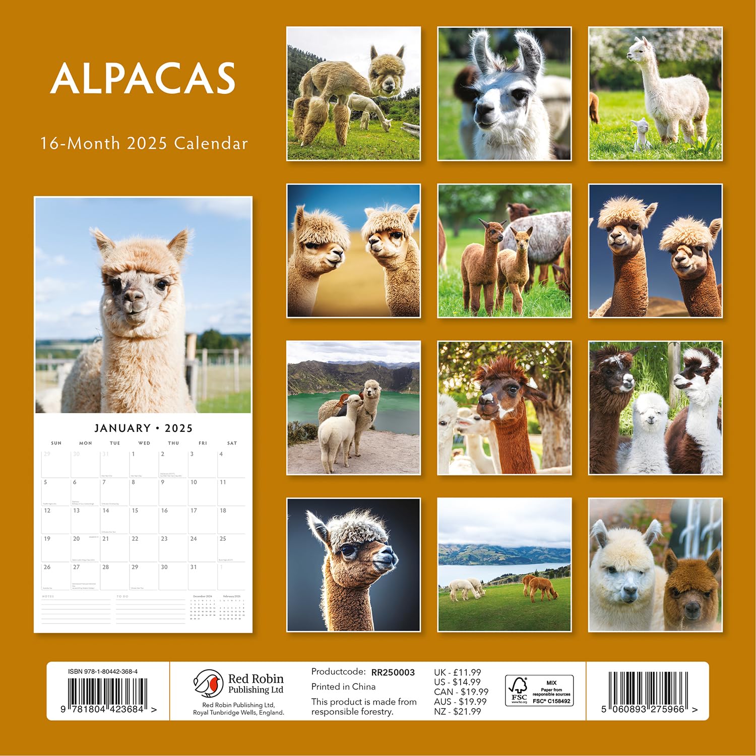 2025 Alpacas Monthly Wall Calendar | 12" x 24" Open | Premium Thick & Sturdy Paper | Hangable 12 Month Calendar | Plastic Free | 4 Month Transition Page for 2024