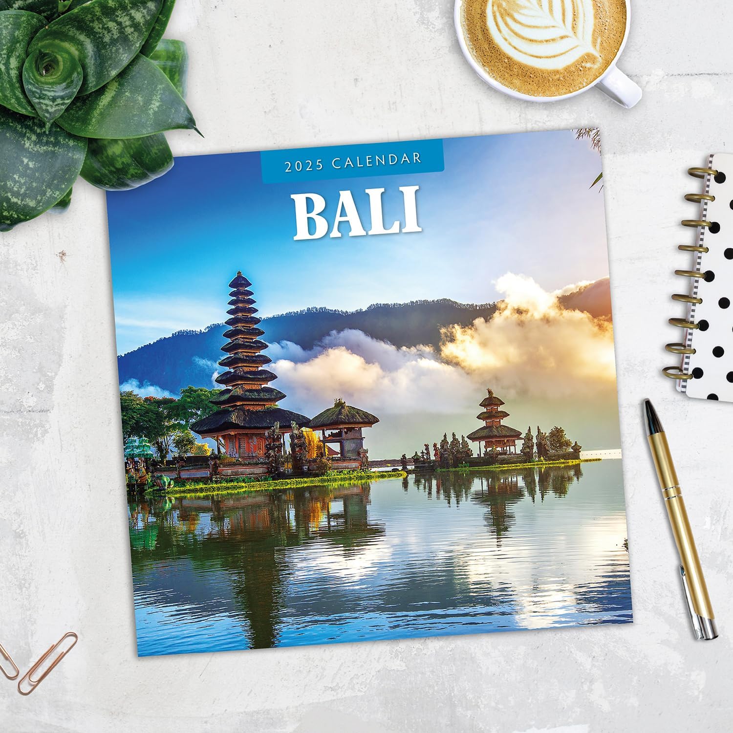 Red Robin 2025 Bali Monthly Wall Calendar | 12" x 24" Open | Premium Thick & Sturdy Paper | Hangable 12 Month Calendar | Plastic Free | 4 Month Transition Page for 2024