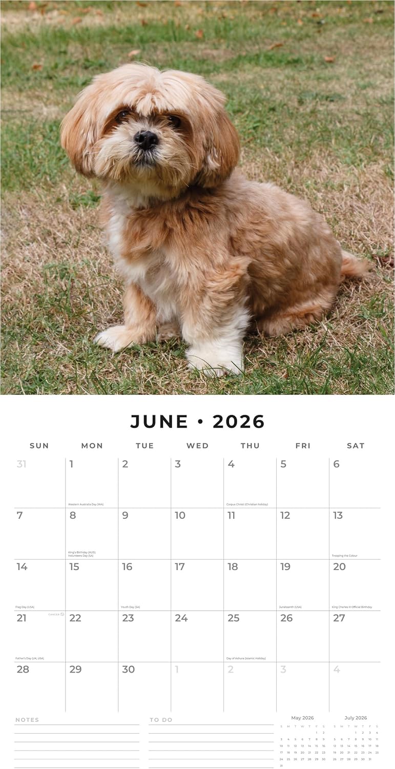 Red Robin 2026 Lhasa Apsos Monthly Wall Calendar | 12" x 24" Open | Premium Thick & Sturdy Paper | Hangable 12 Month Calendar | Lined Notes & To Do Area | Vivid Images | Plastic Free