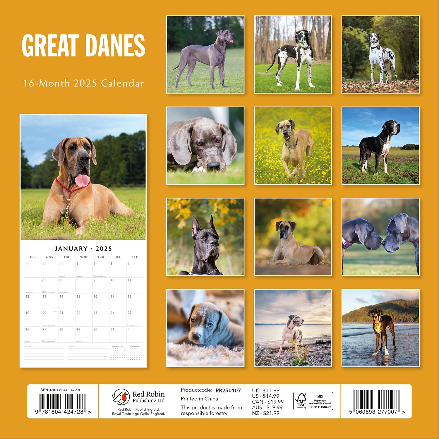 Red Robin 2025 Great Danes Monthly Wall Calendar | 12" x 24" Open | Premium Thick & Sturdy Paper | Hangable 12 Month Calendar | Plastic Free | 4 Month Transition Page for 2024