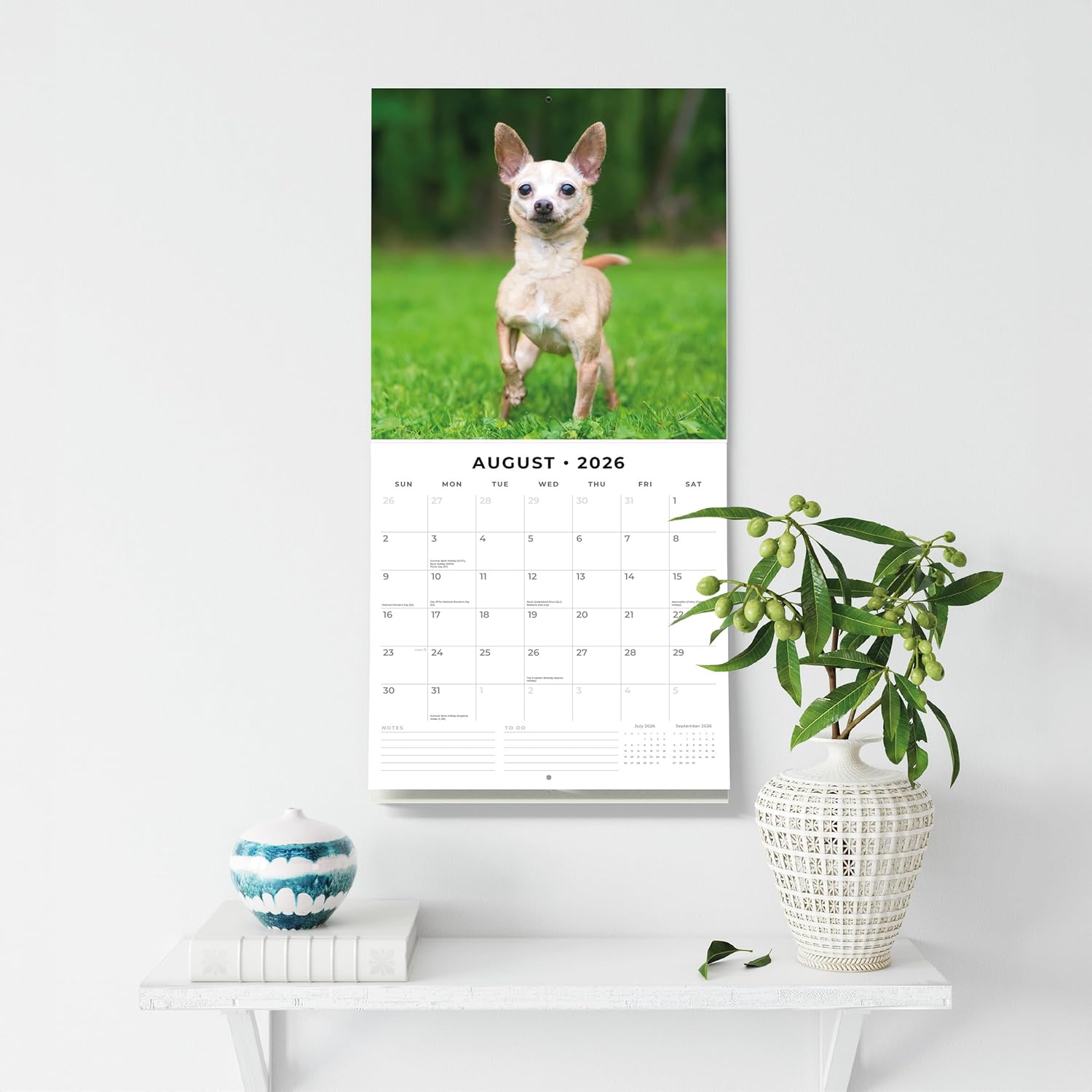 Red Robin 2026 Chihuahuas Monthly Wall Calendar | 12" x 24" Open | Premium Thick & Sturdy Paper | Hangable 12 Month Calendar | Lined Notes & To Do Area | Vivid Images | Plastic Free