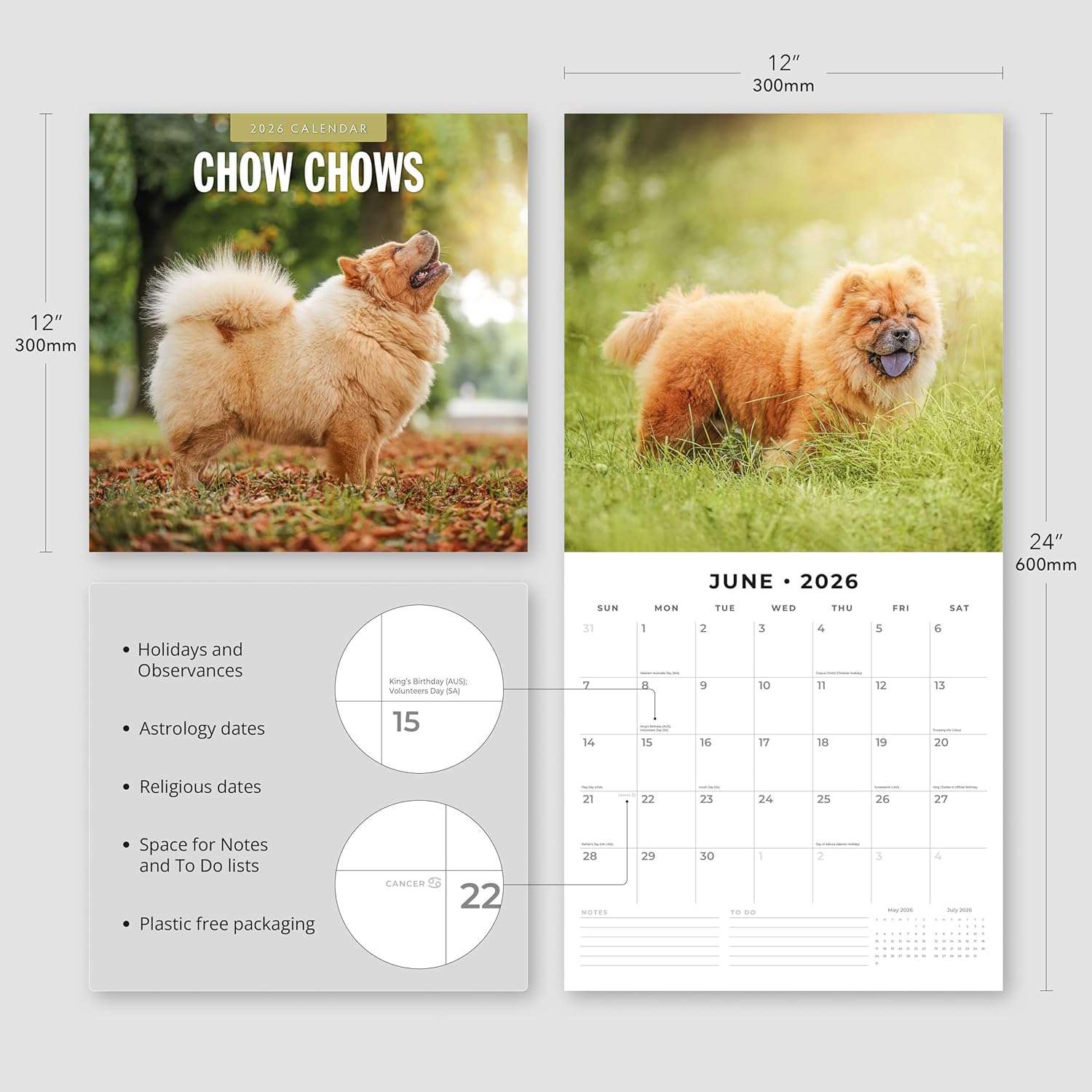 Red Robin 2026 Chow Chows Monthly Wall Calendar | 12" x 24" Open | Premium Thick & Sturdy Paper | Hangable 12 Month Calendar | Lined Notes & To Do Area | Vivid Images | Plastic Free