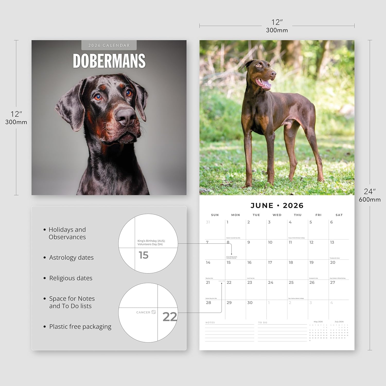 Red Robin 2026 Dobermans Monthly Wall Calendar | 12" x 24" Open | Premium Thick & Sturdy Paper | Hangable 12 Month Calendar | Lined Notes & To Do Area | Vivid Images | Plastic Free